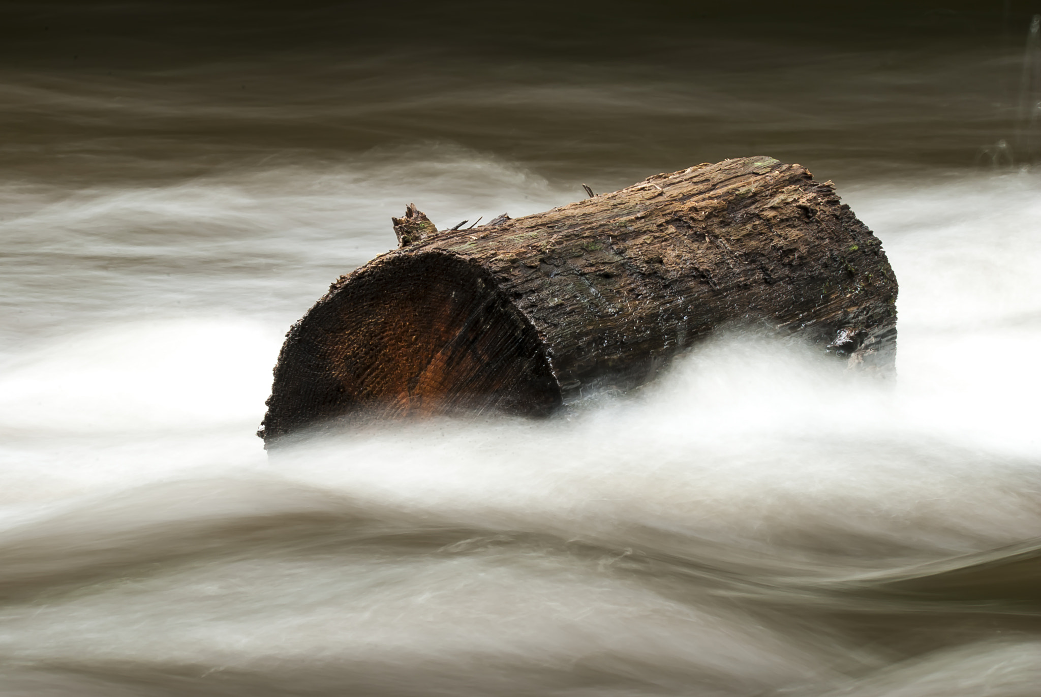 Nikon D80 + AF Nikkor 300mm f/4 IF-ED sample photo. Flow photography