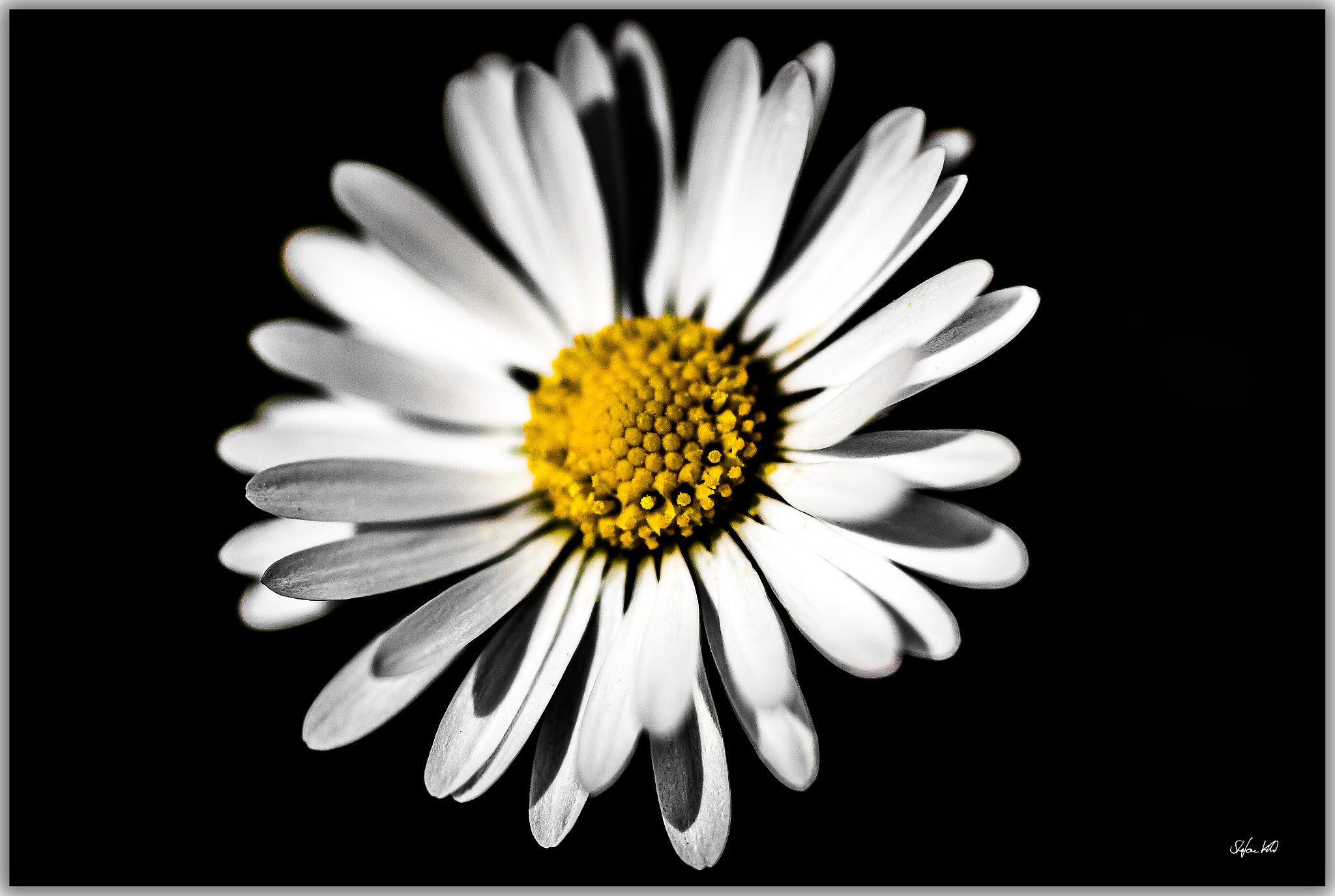 Canon EOS 600D (Rebel EOS T3i / EOS Kiss X5) + Sigma 105mm F2.8 EX DG Macro sample photo. - spring time - photography