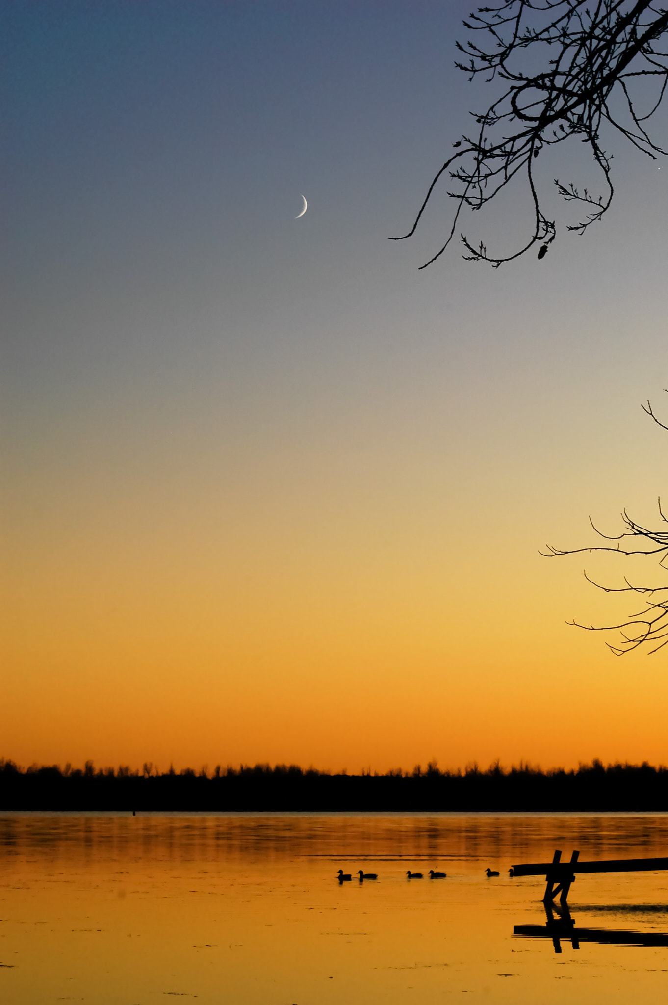 Nikon D70s sample photo. Sunset on the river photography
