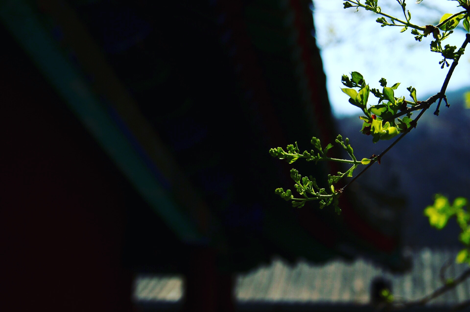 Canon EF-S 17-85mm F4-5.6 IS USM sample photo