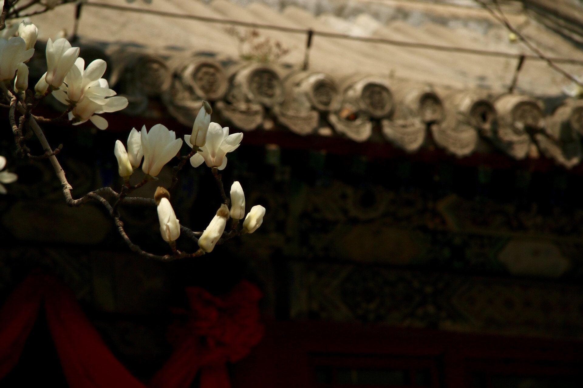 Canon EF-S 17-85mm F4-5.6 IS USM sample photo