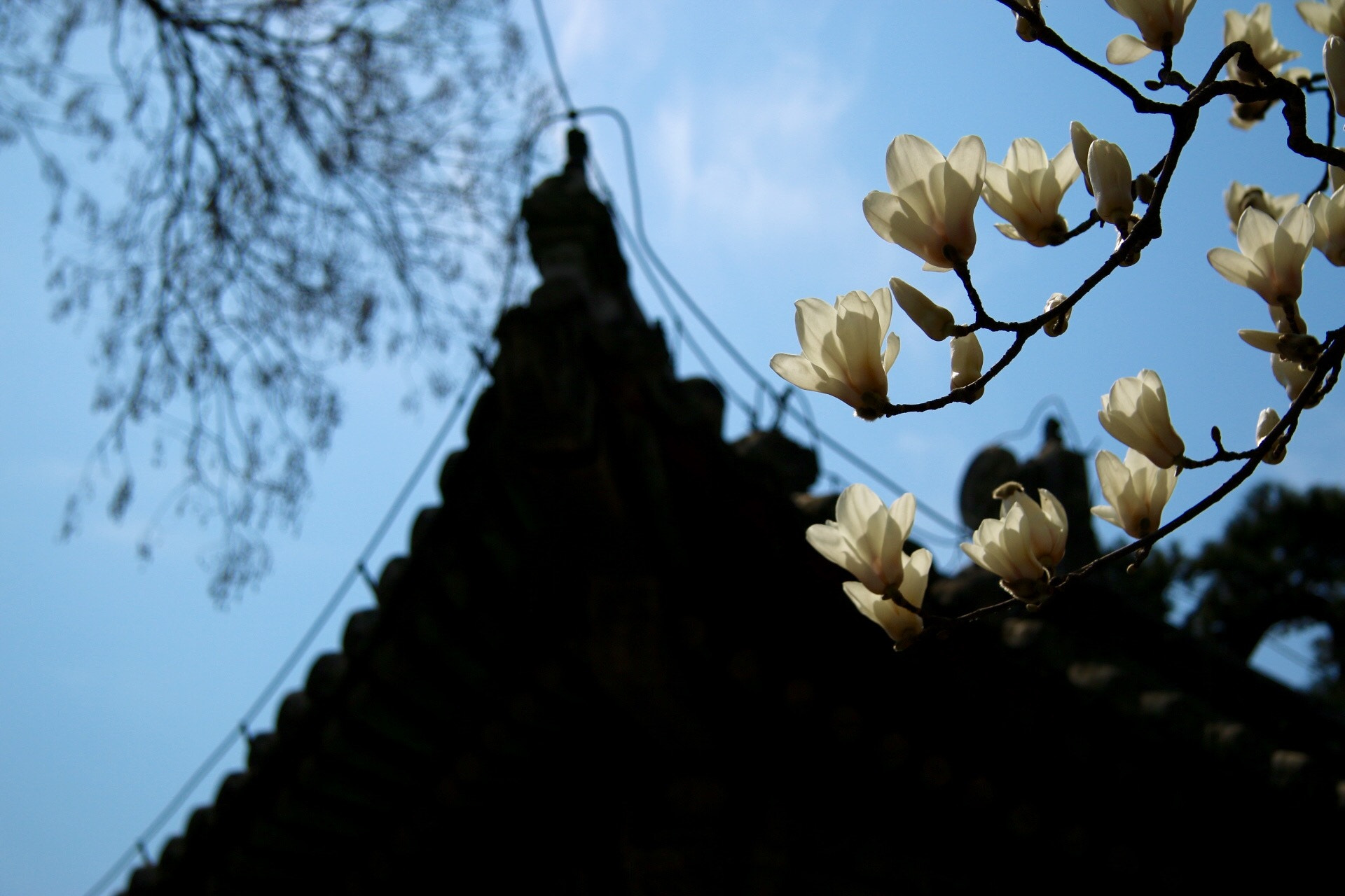 Canon EF-S 17-85mm F4-5.6 IS USM sample photo