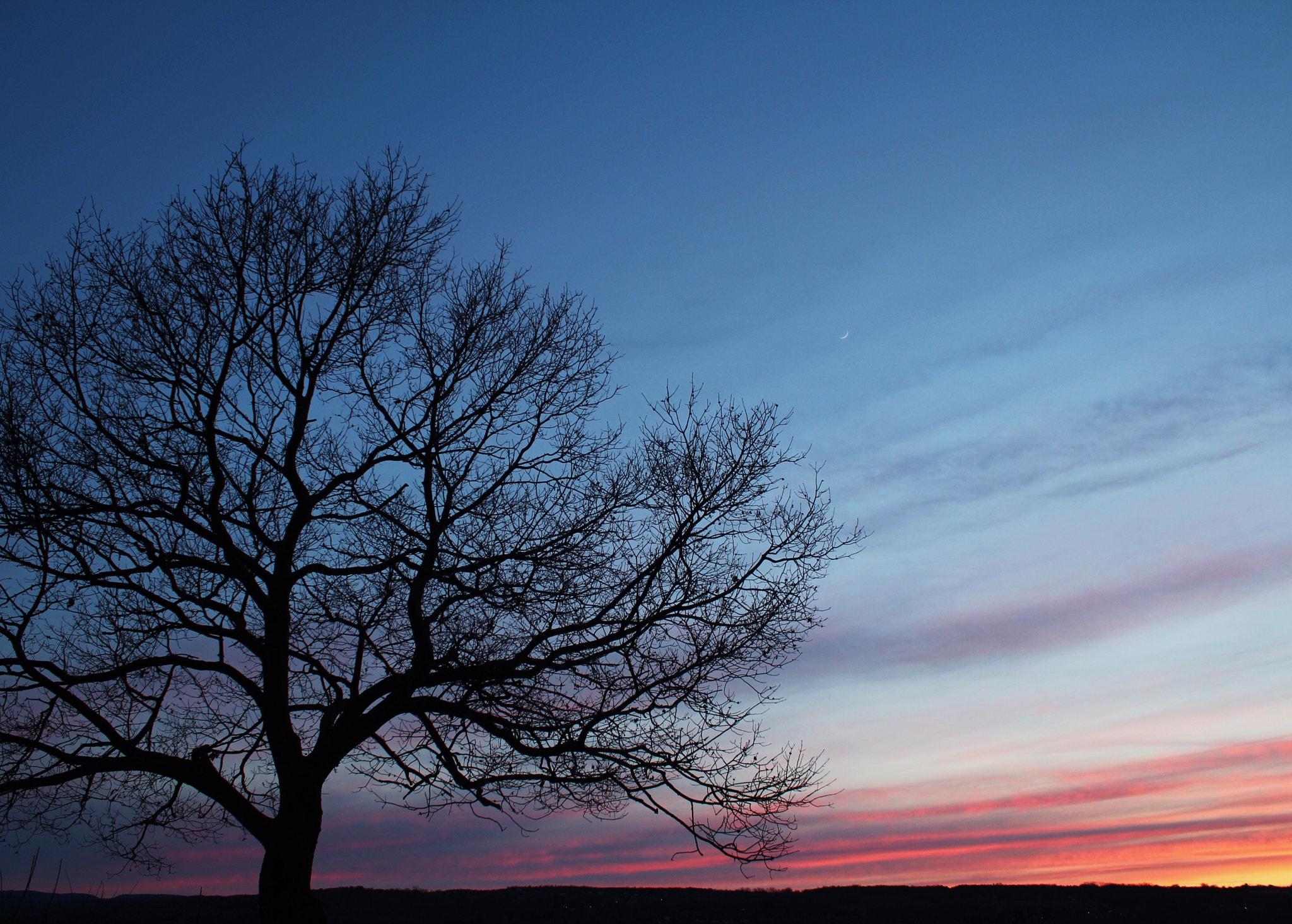 Canon EF-S 18-55mm F3.5-5.6 IS sample photo. Sunset park photography