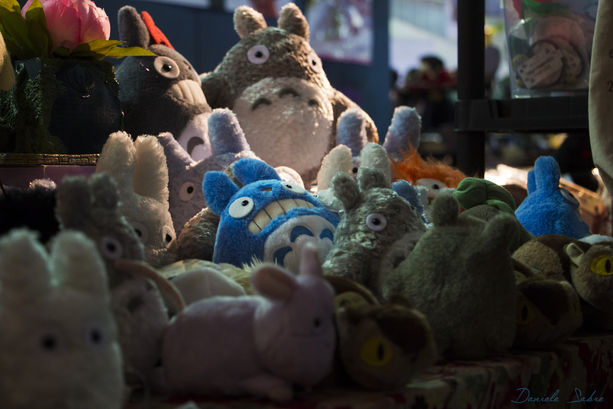 Canon EF-S 18-135mm F3.5-5.6 IS STM sample photo. Afraid totoro photography