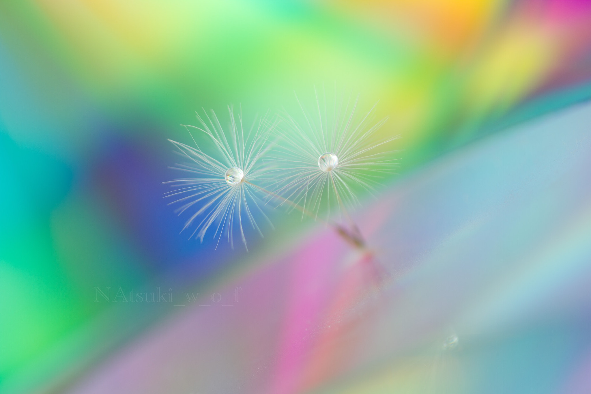 Tamron SP AF 180mm F3.5 Di LD (IF) Macro sample photo. Fantasy world photography