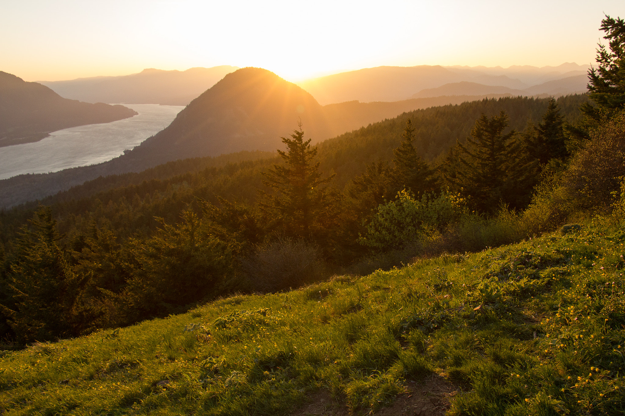 Canon EF-S 18-135mm F3.5-5.6 IS STM sample photo. Sunset meadow photography