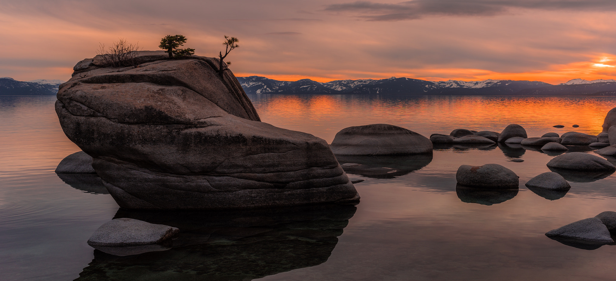 ZEISS Otus 55mm F1.4 sample photo. Bonsai rock photography