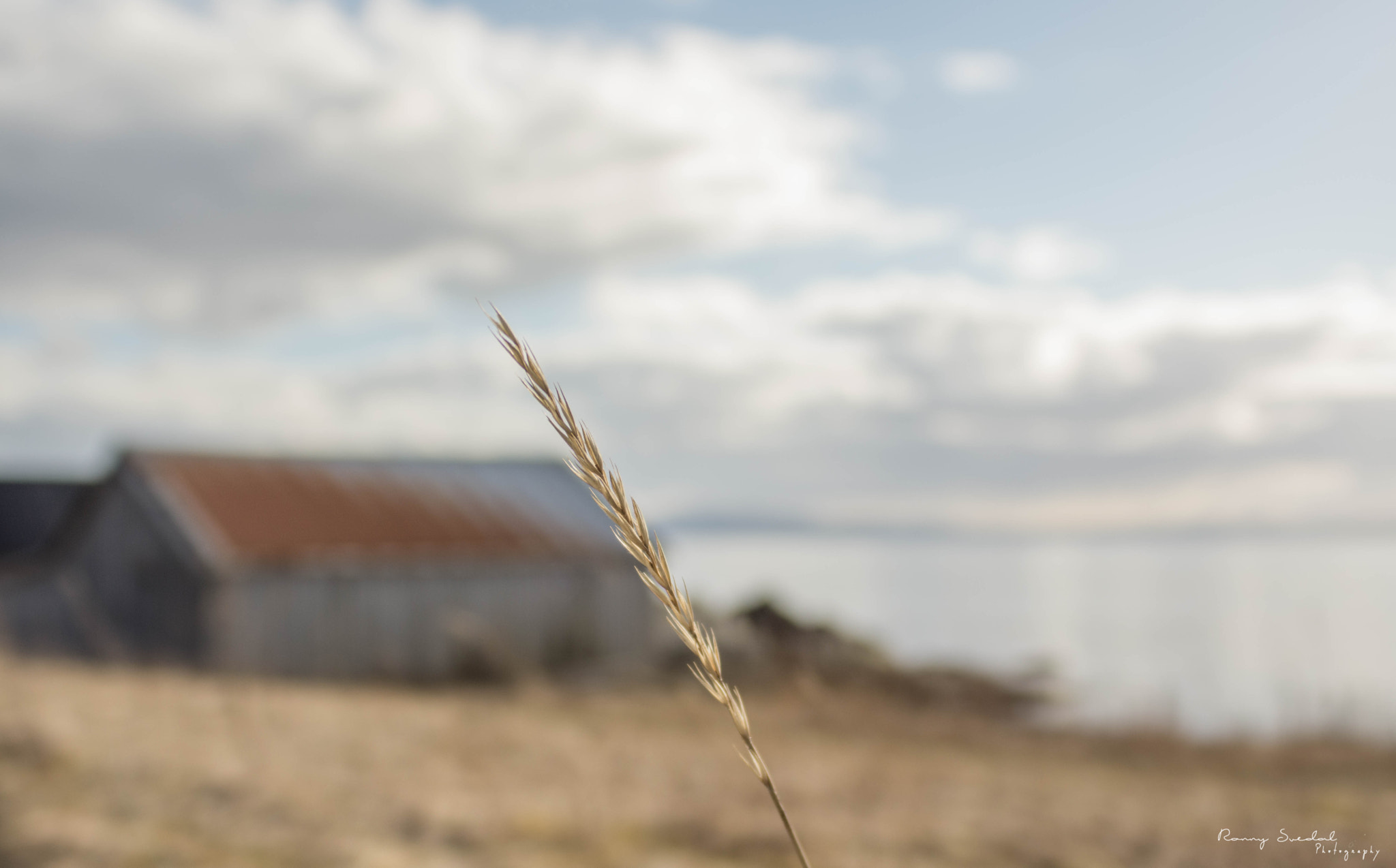 Nikon D7200 + Sigma 24-70mm F2.8 EX DG Macro sample photo. Dsc_1384.jpg photography