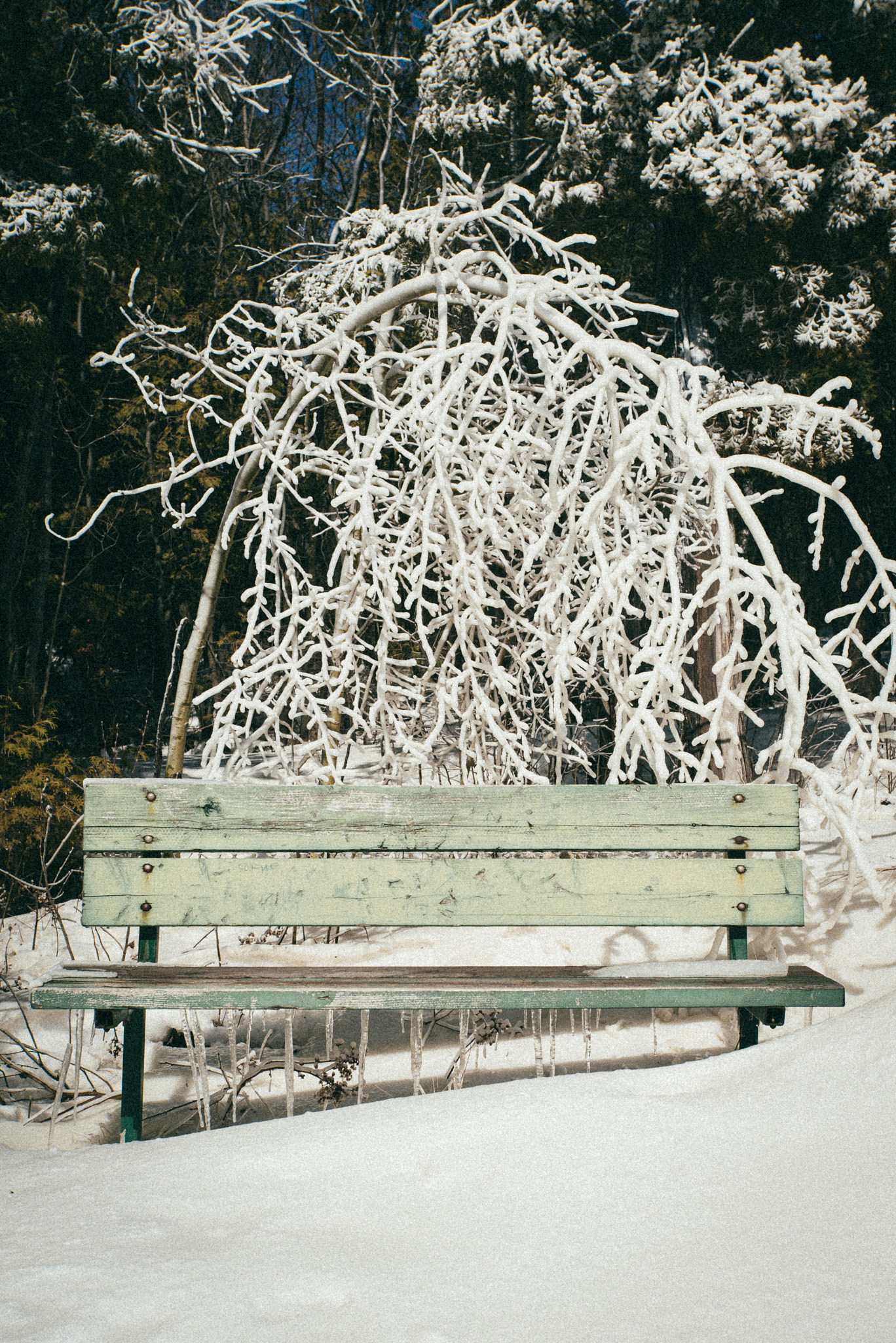 Tamron 18-270mm F3.5-6.3 Di II PZD sample photo. Lonely bench photography