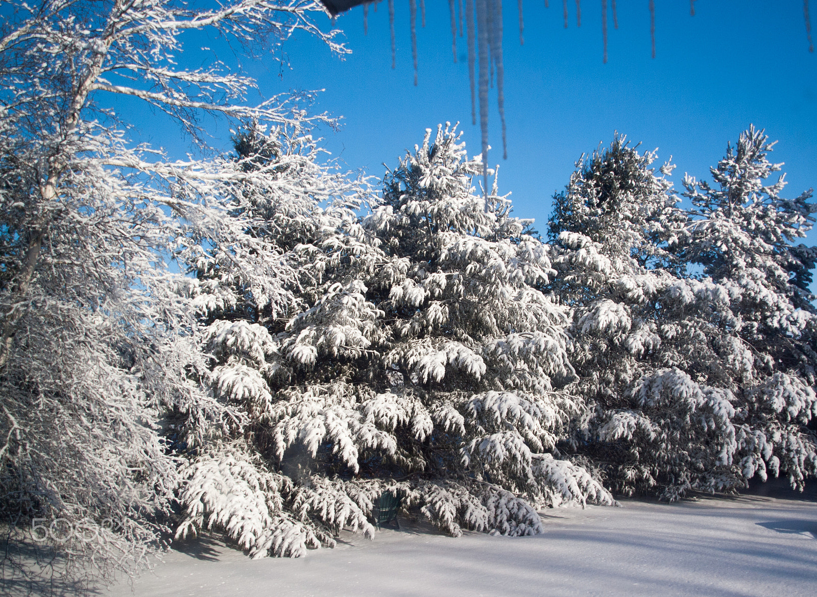 Olympus E-620 (EVOLT E-620) + OLYMPUS 14-42mm Lens sample photo. Snowy winter wonderland photography