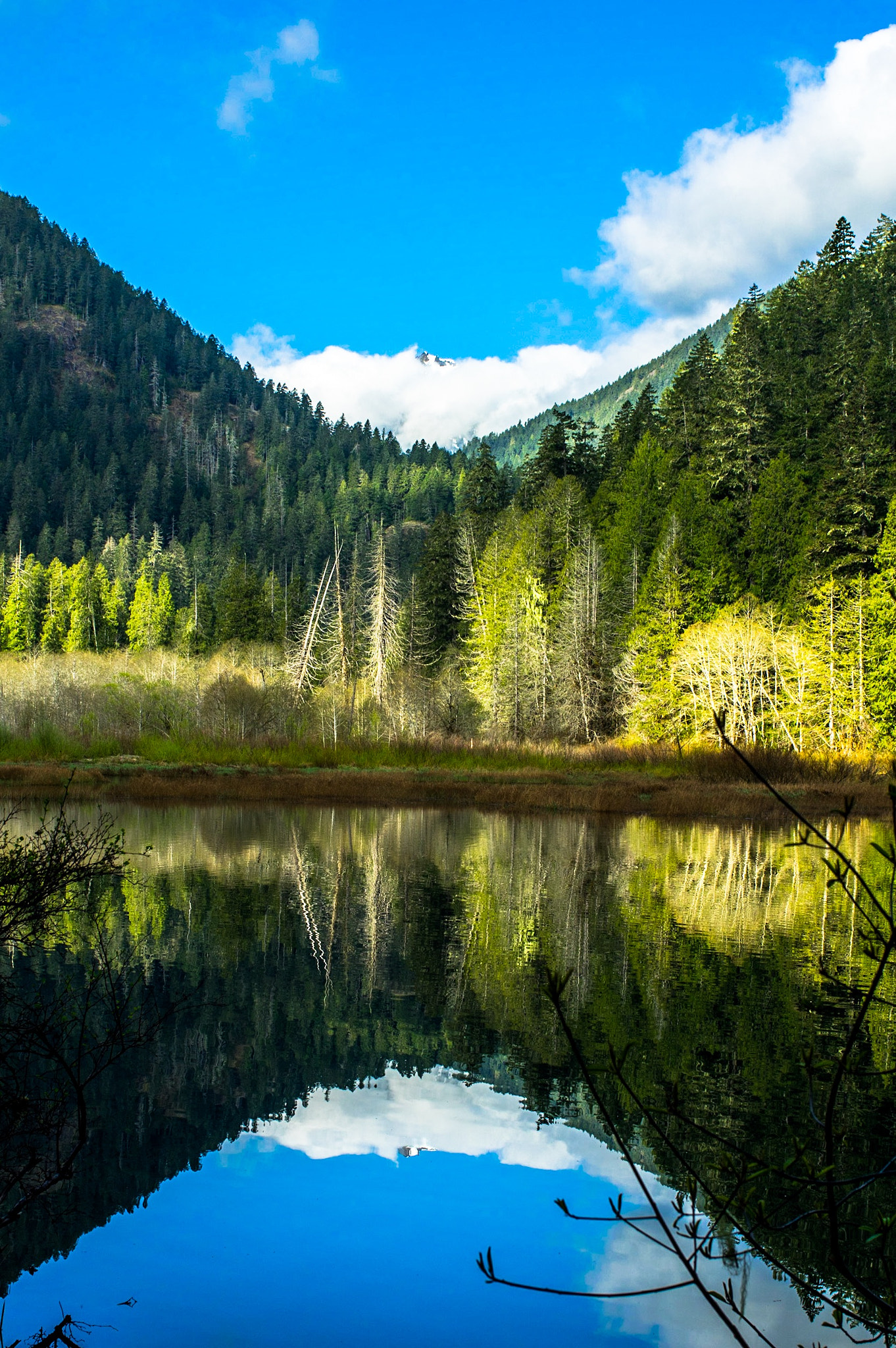 Pentax K-3 II + HD Pentax-FA 35mm F2 AL sample photo. Elk lake, olympics photography