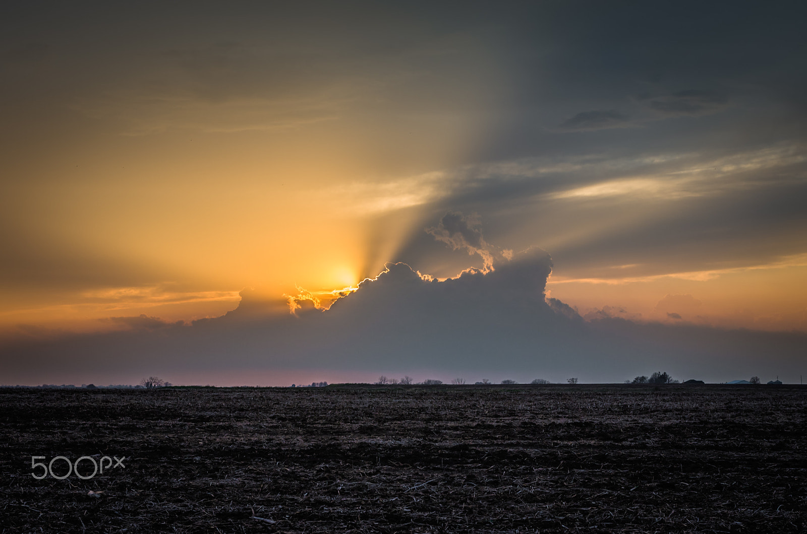 Sigma 17-70mm F2.8-4 DC Macro HSM Contemporary sample photo. Spring sunset photography