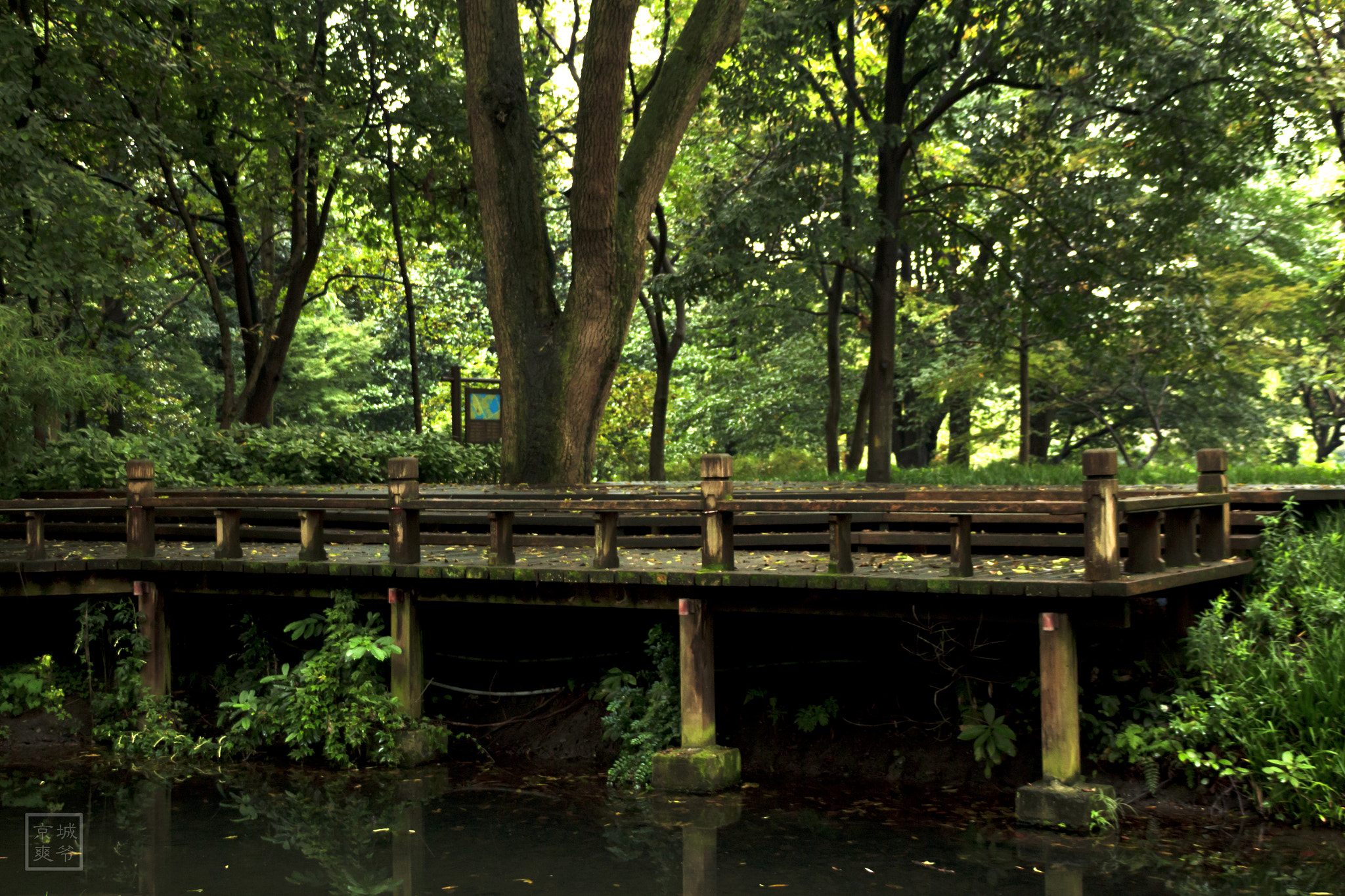 Canon EF 75-300mm F4.0-5.6 IS USM sample photo. China hangzhou photography
