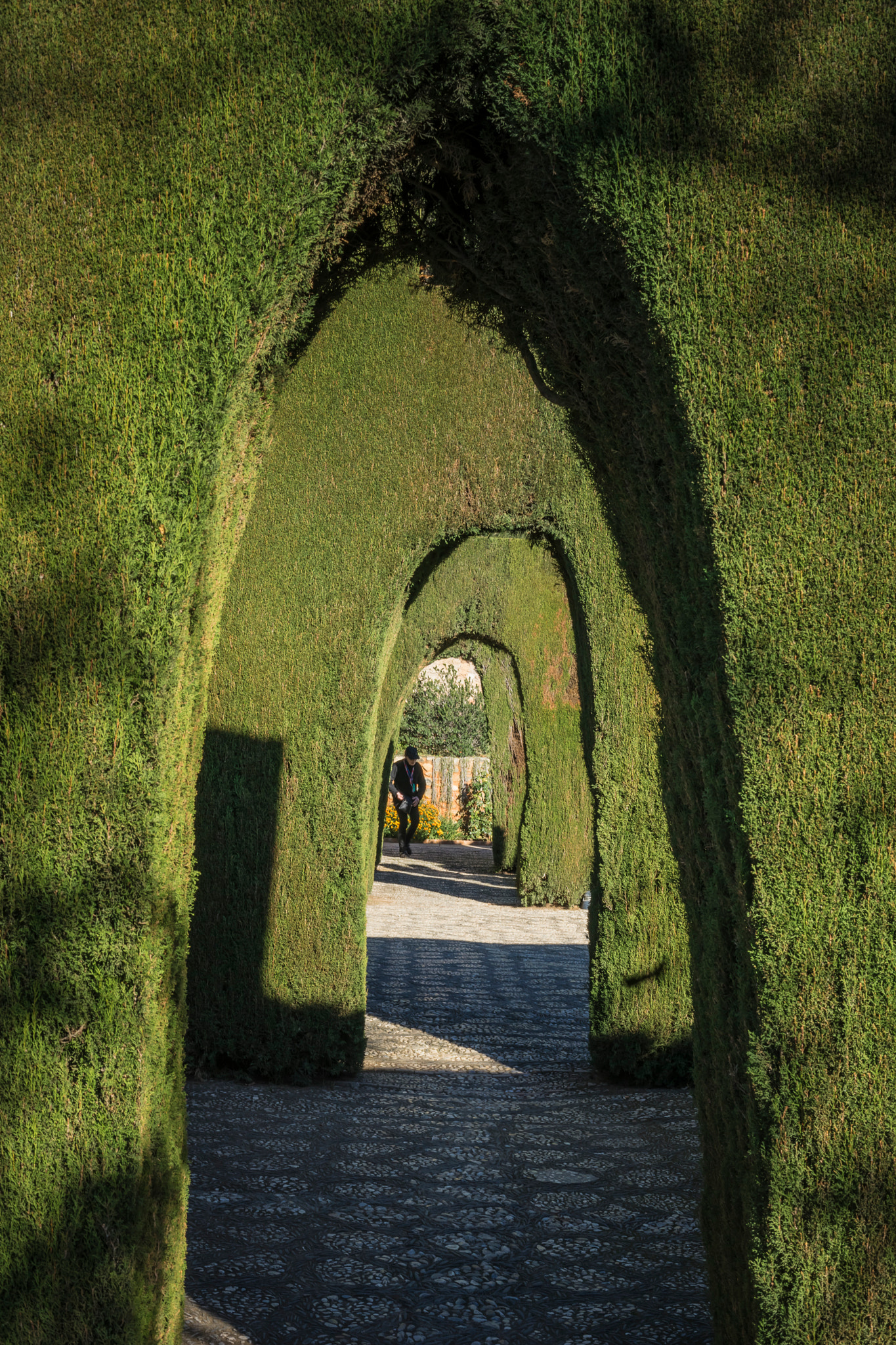 Sony a7 + Canon EF 50mm F1.4 USM sample photo. Arches in gardens outside alhambra photography
