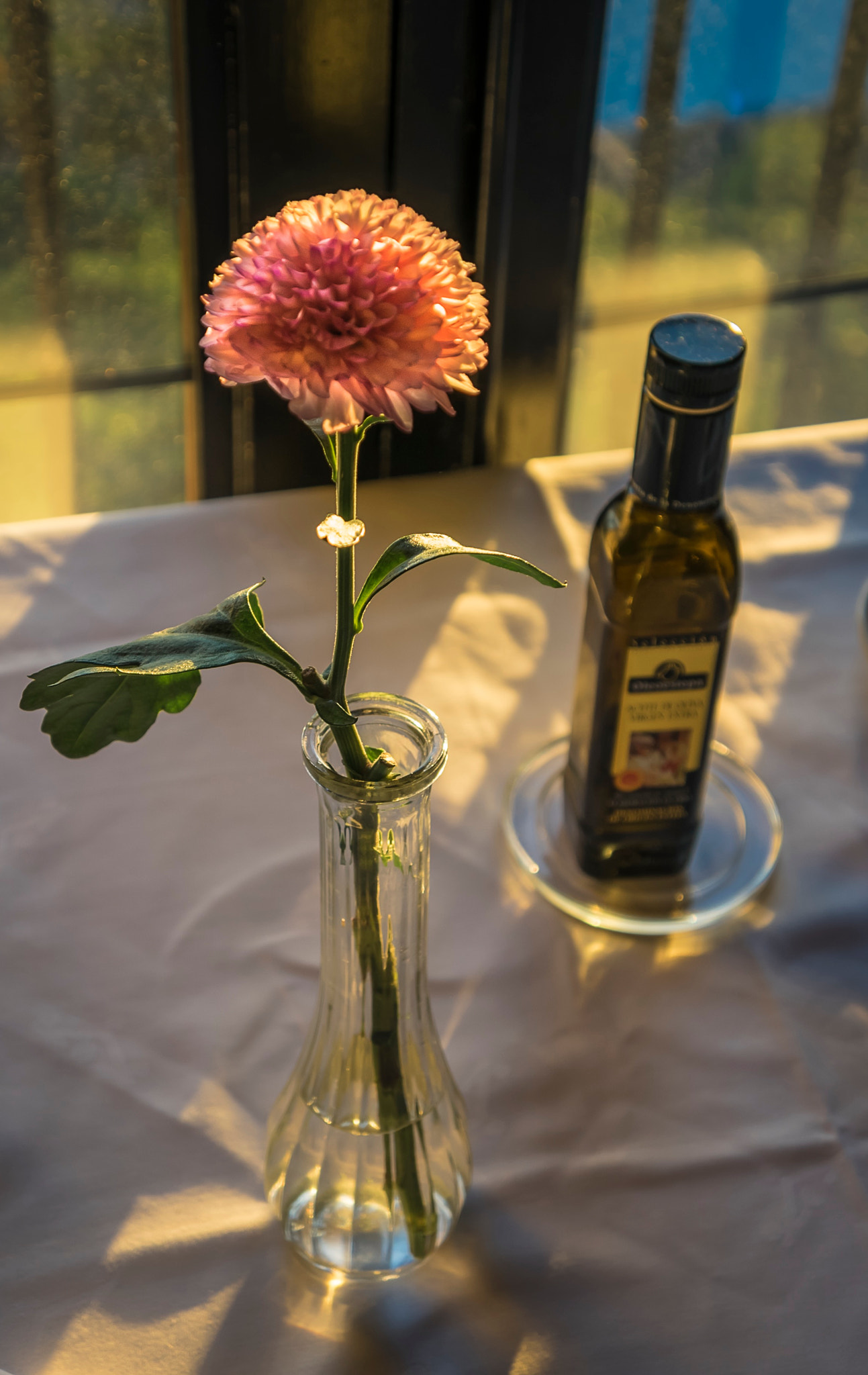 Sony a7 + Sony E 18-55mm F3.5-5.6 OSS sample photo. Flower on the table photography