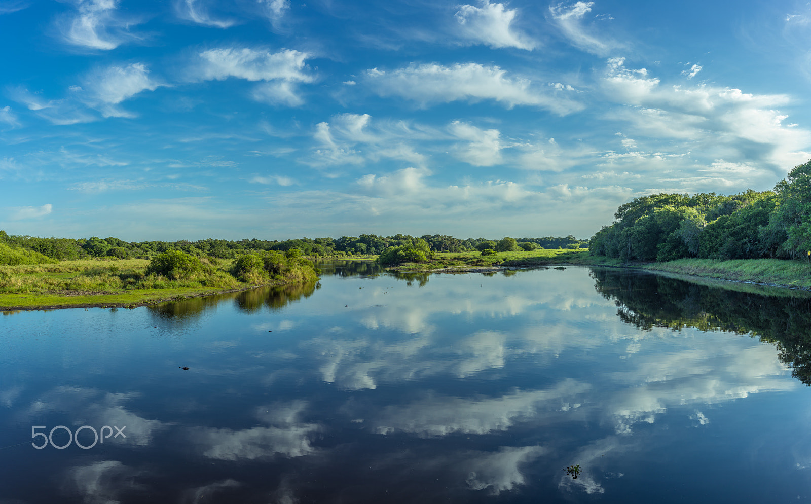 E 35mm F2 sample photo. Myakka river state park fl photography