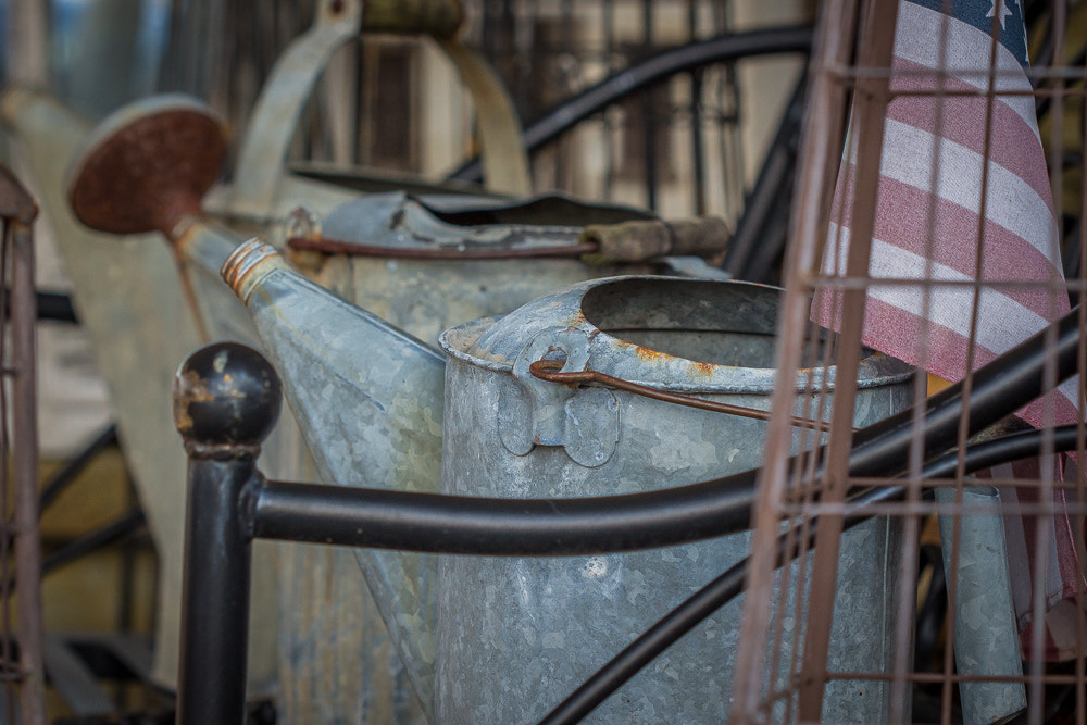 Canon EF 100mm F2.8 Macro USM sample photo. Tin watering cans photography