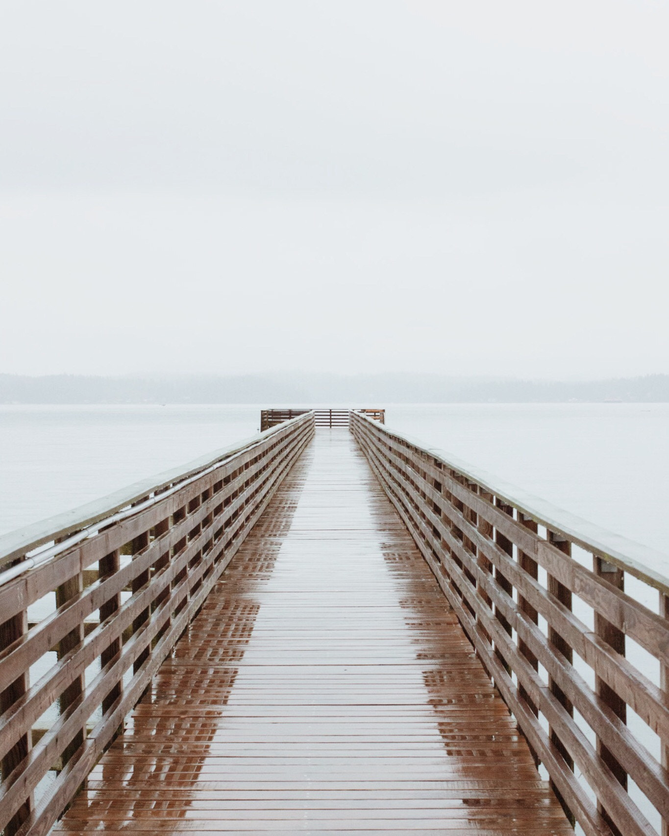 Canon EF 40mm F2.8 STM sample photo. Olympic peninsula photography