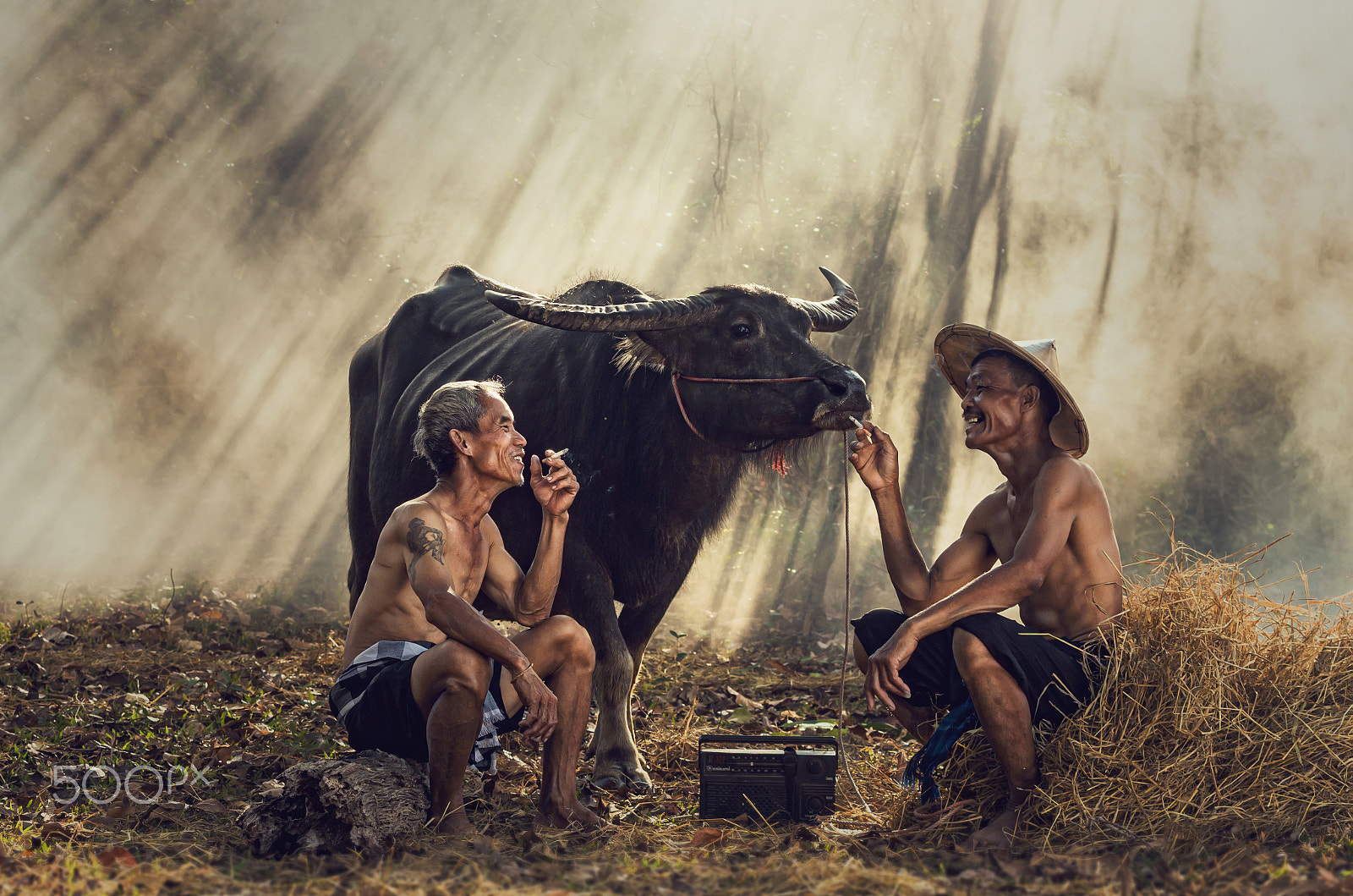 Pentax K-5 IIs sample photo. Two asian old man smoking and talking with buffalo and ray of su photography