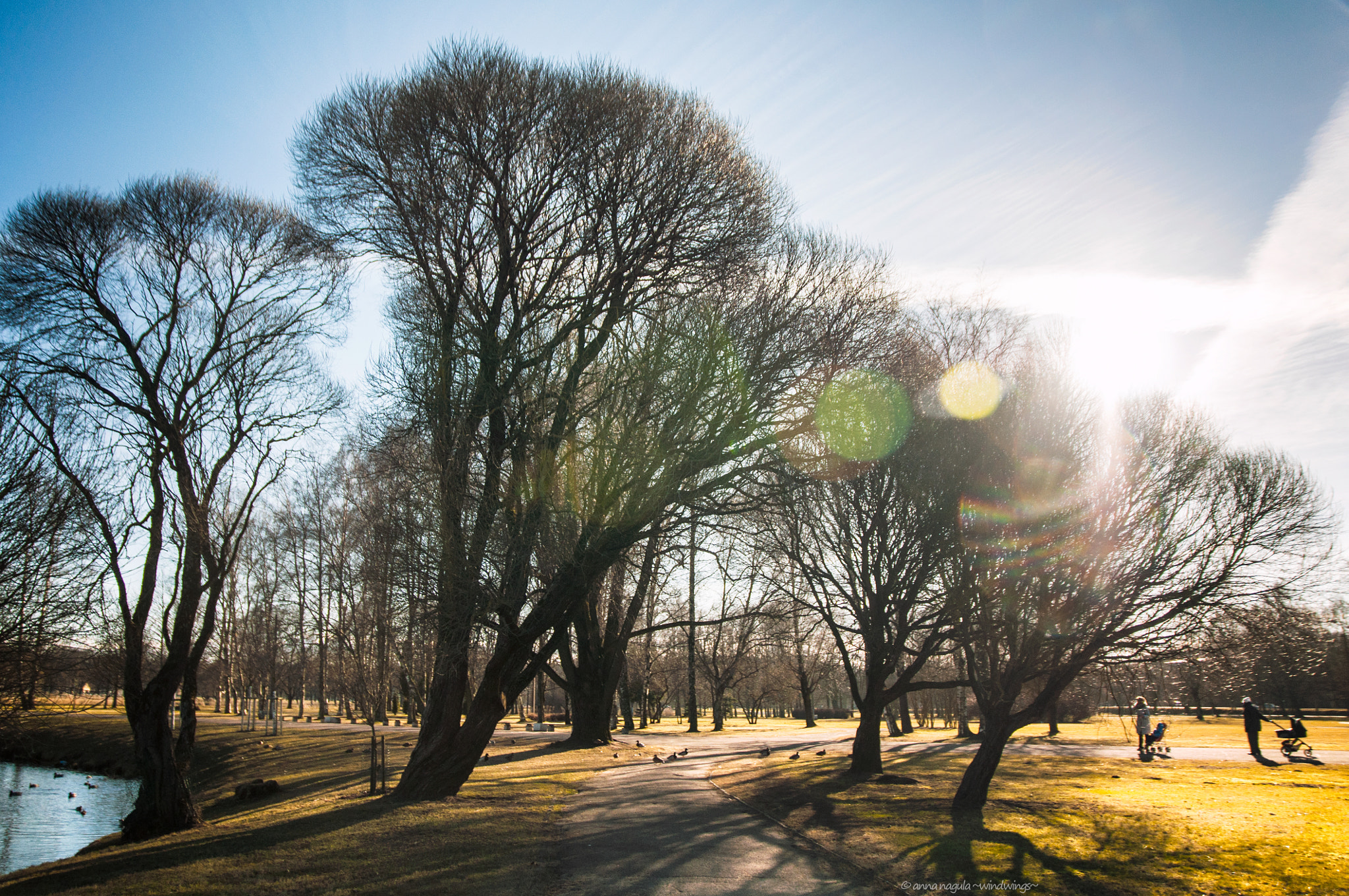 Nikon D90 + Sigma 17-70mm F2.8-4 DC Macro OS HSM | C sample photo. Early spring in riga photography