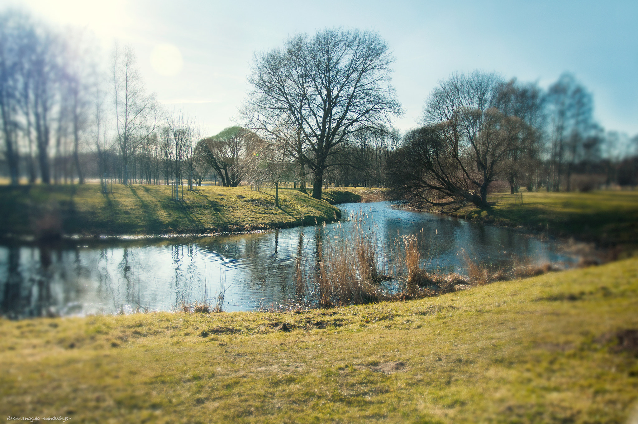 Nikon D90 + Sigma 17-70mm F2.8-4 DC Macro OS HSM | C sample photo. Early spring in riga photography