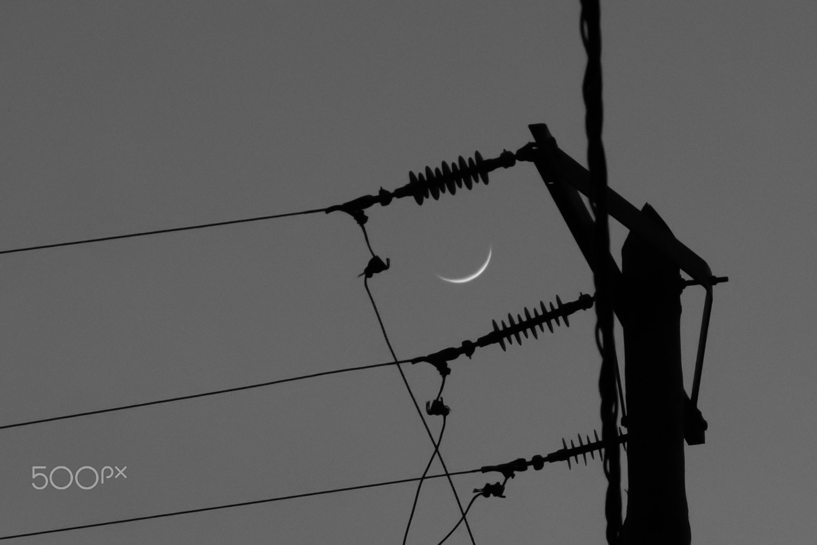 Sigma 17-70mm F2.8-4 DC Macro OS HSM sample photo. New moon 3 photography