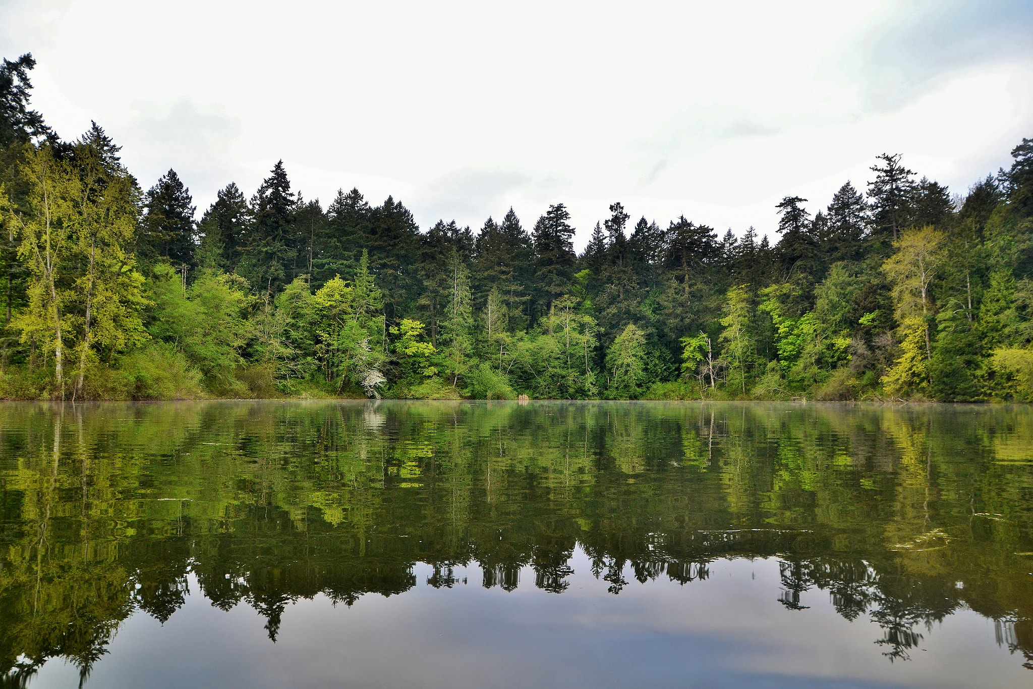 Sigma 17-70mm F2.8-4 DC Macro OS HSM sample photo. Hues of spring green around the lakes edges photography
