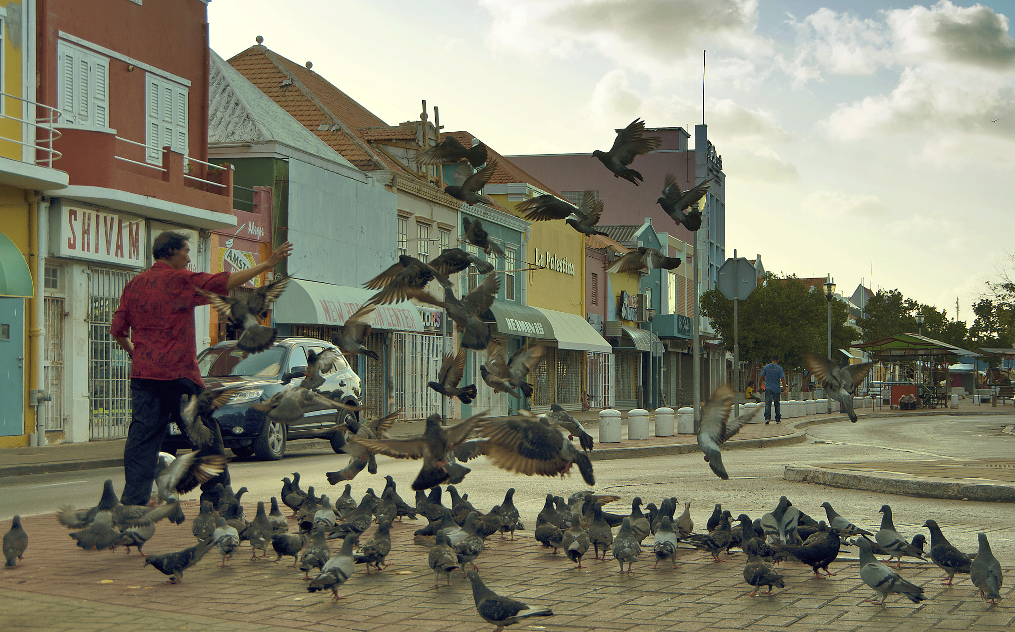 Pentax K-5 IIs sample photo. A man and pigeons photography