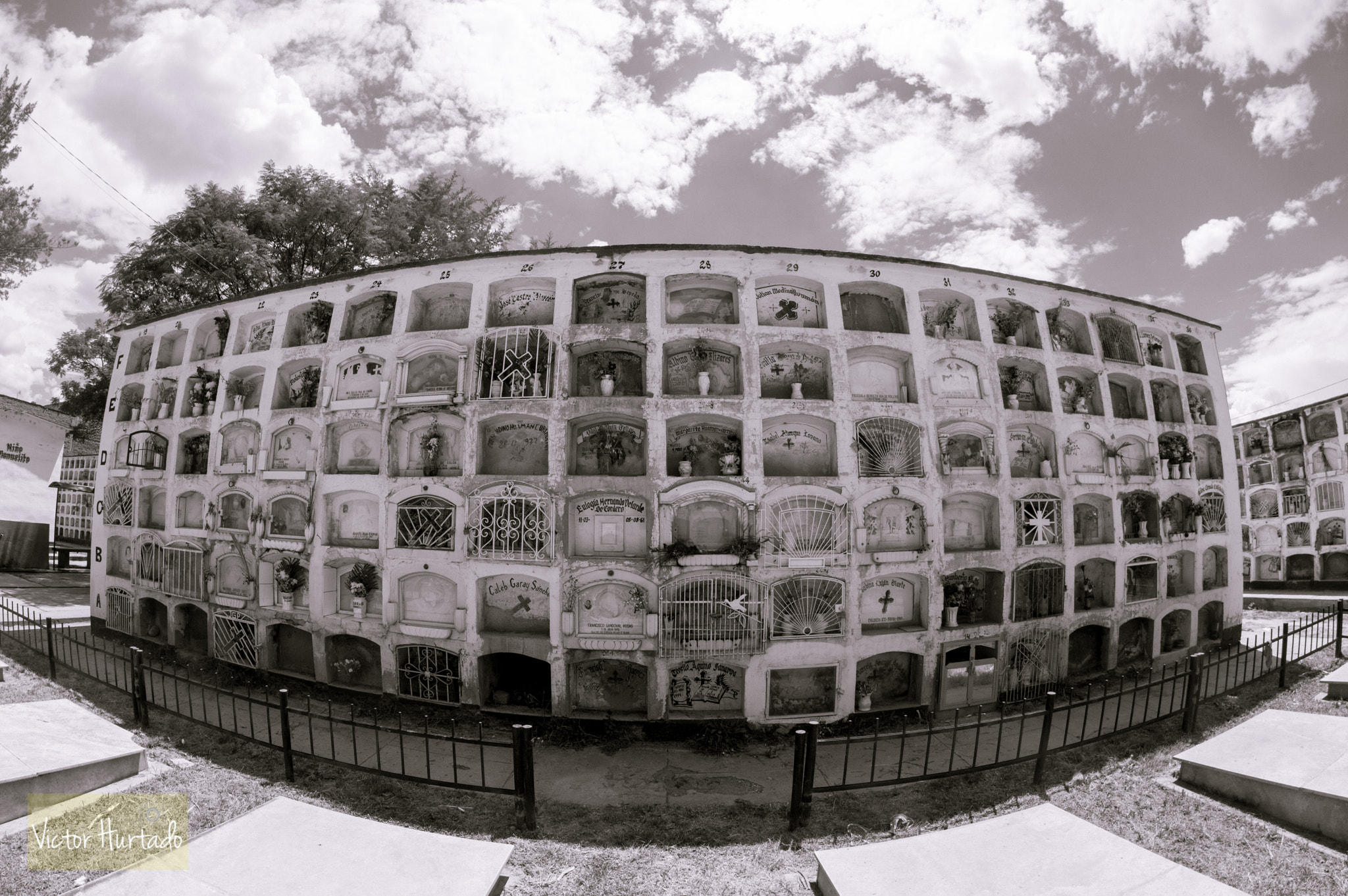 Nikon D3200 + Samyang 8mm F3.5 Aspherical IF MC Fisheye sample photo. No pride accepted photography
