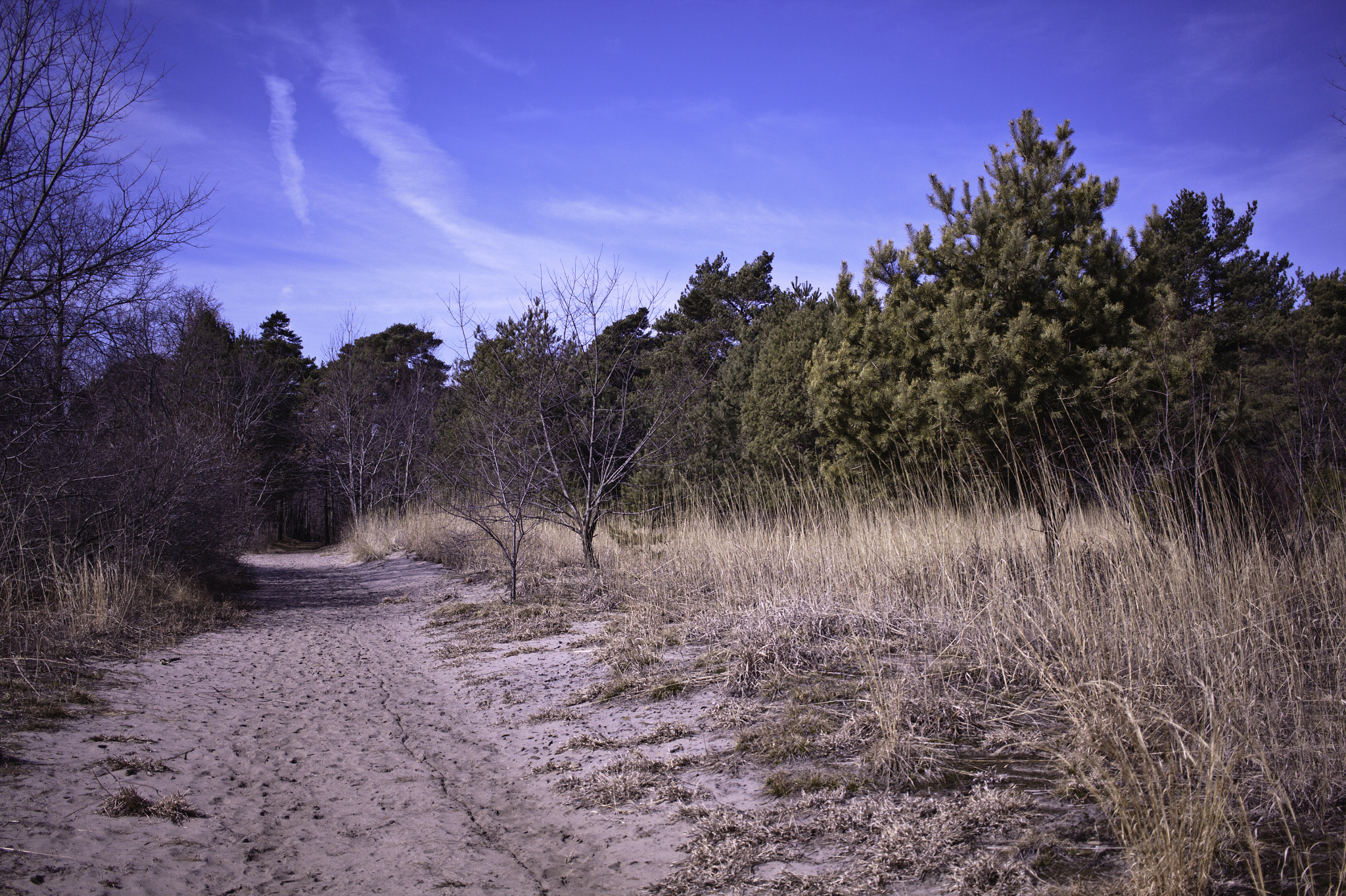 Canon EF-S 24mm F2.8 STM sample photo. Nature photography