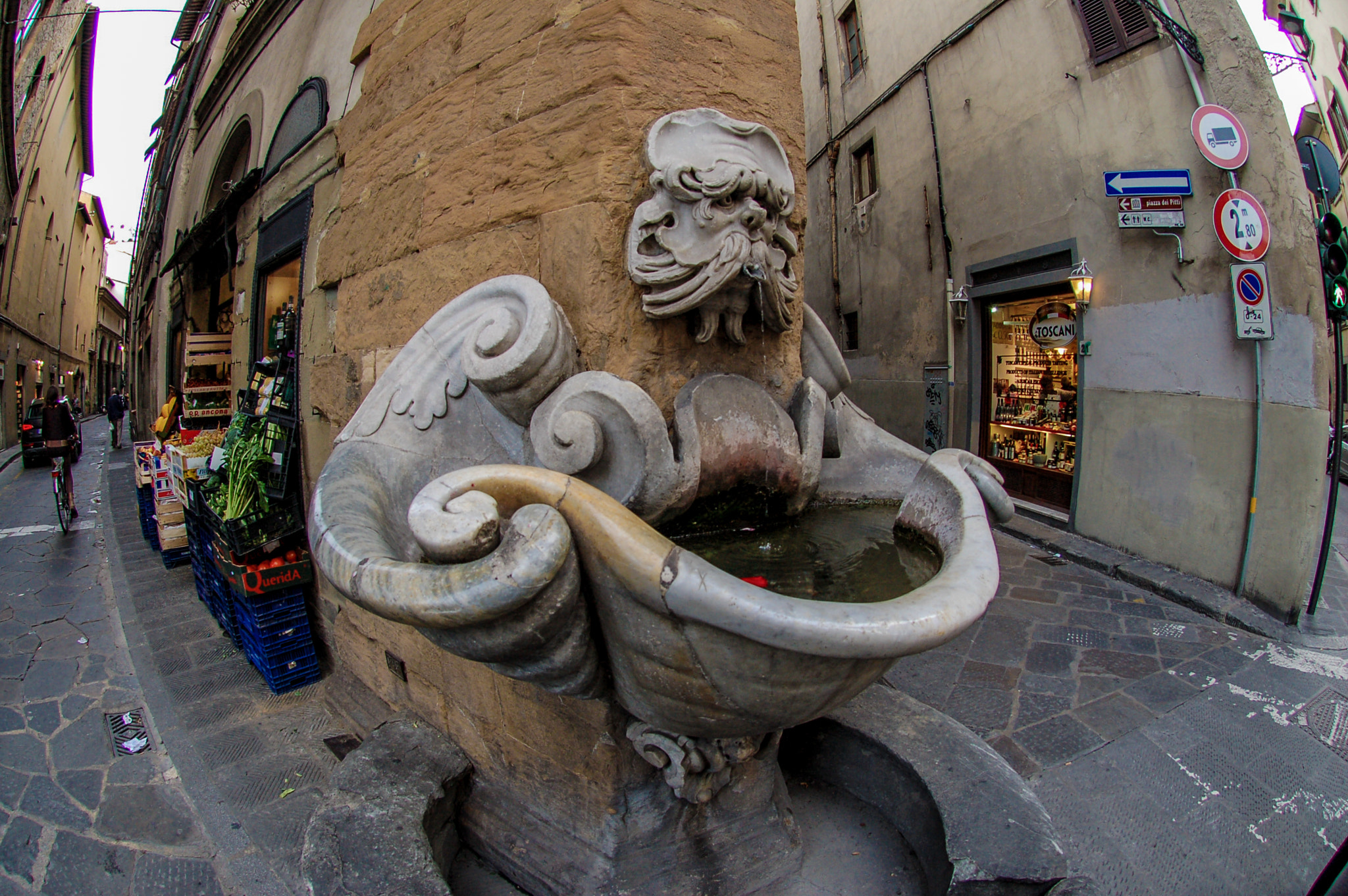 Nikon AF DX Fisheye-Nikkor 10.5mm F2.8G ED sample photo. Corner fountain photography