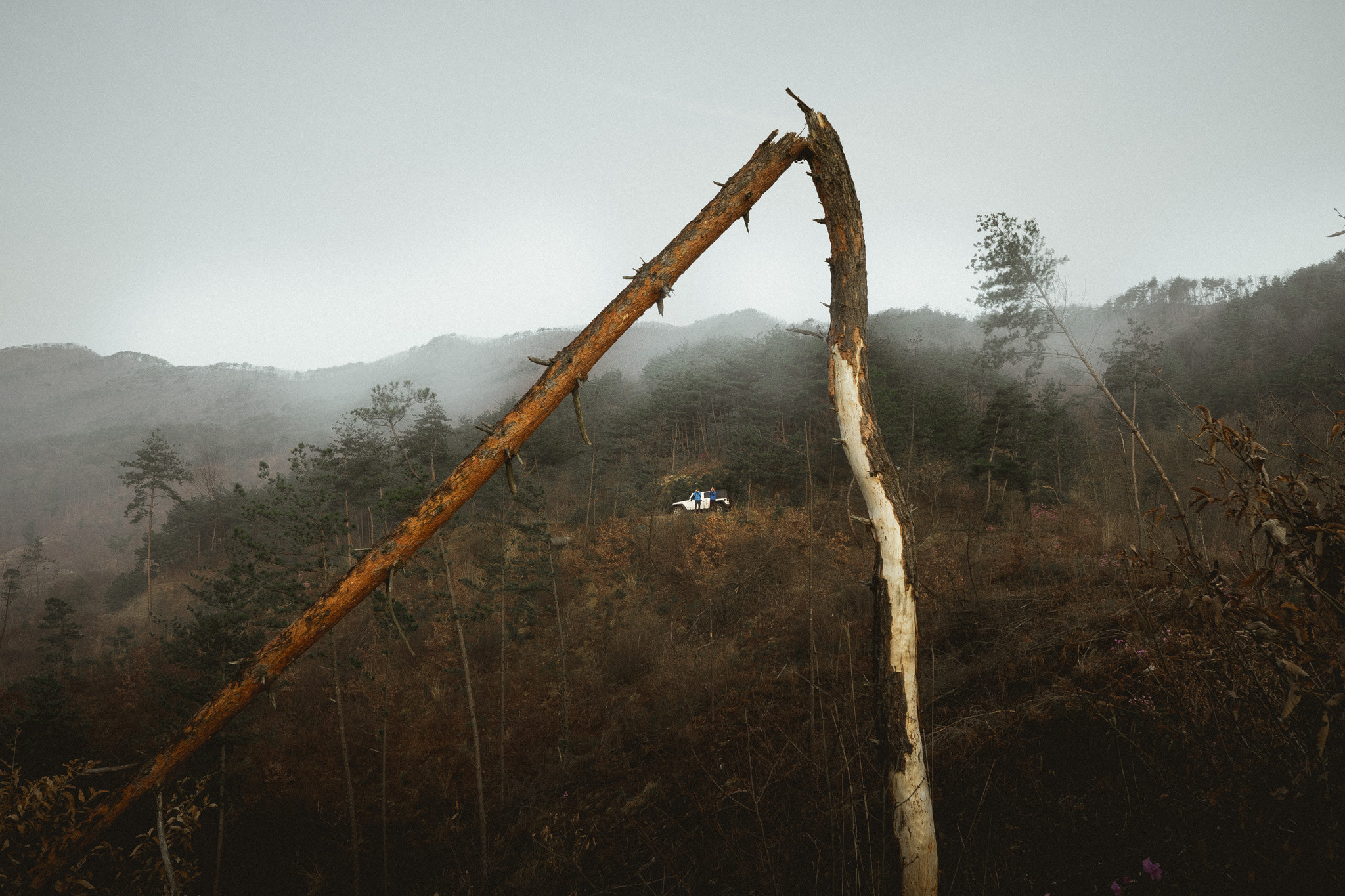 Sony a7 + ZEISS Batis 25mm F2 sample photo. Backcountry jeeping photography