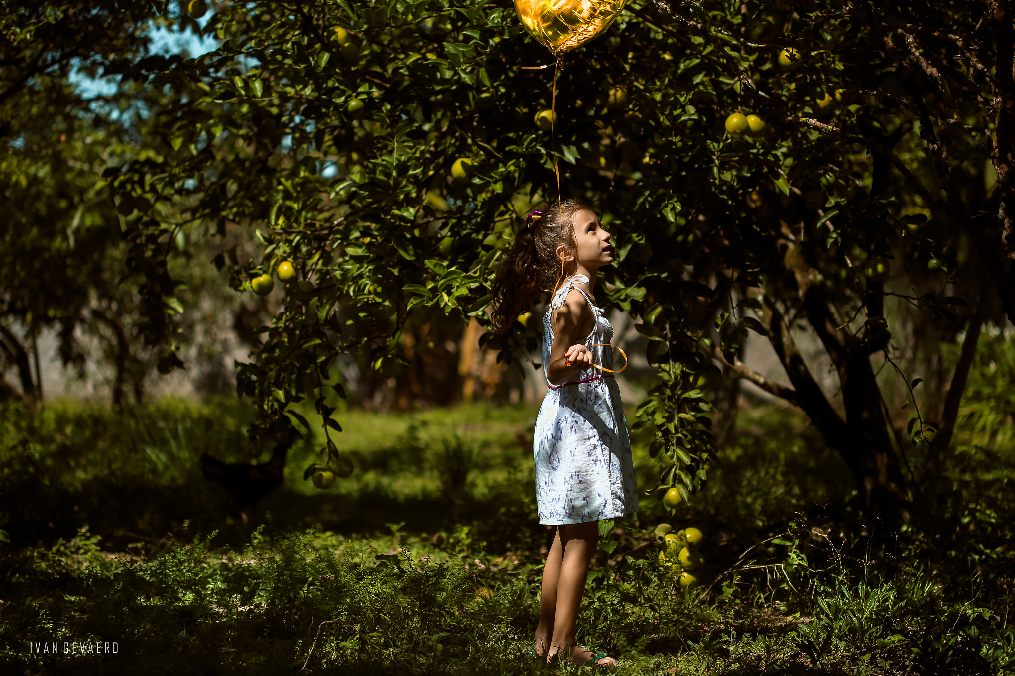 Canon EOS 6D + Canon EF 100mm F2.8 Macro USM sample photo. The way she is... photography
