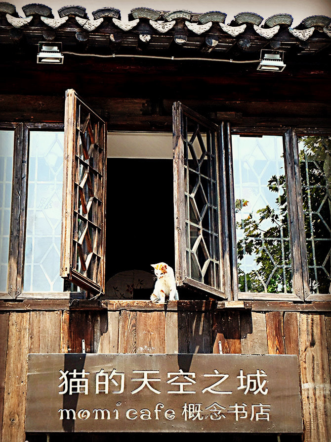 Samsung ST77 / ST79 sample photo