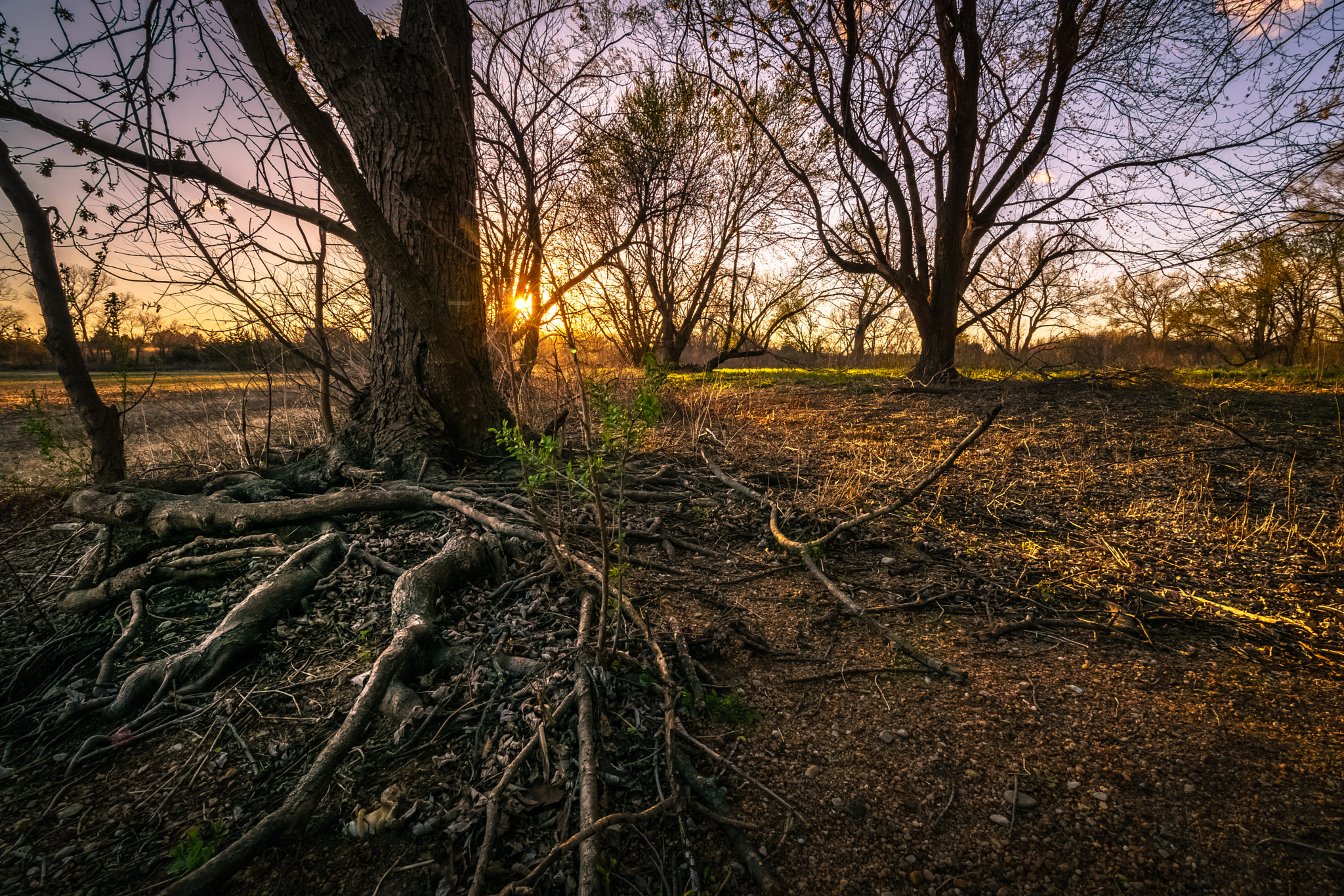 Canon EF-S 10-18mm F4.5–5.6 IS STM sample photo. Thirst photography