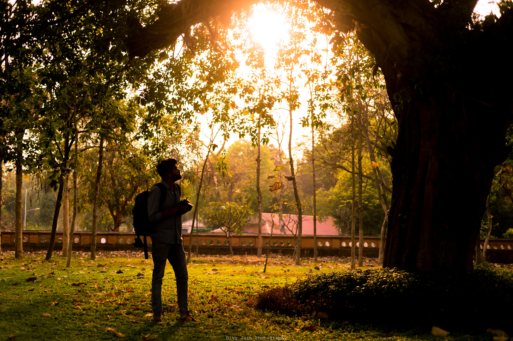 Nikon D4S + Nikon AF Nikkor 50mm F1.8D sample photo. Sunset at dilkusha palace, lucknow photography