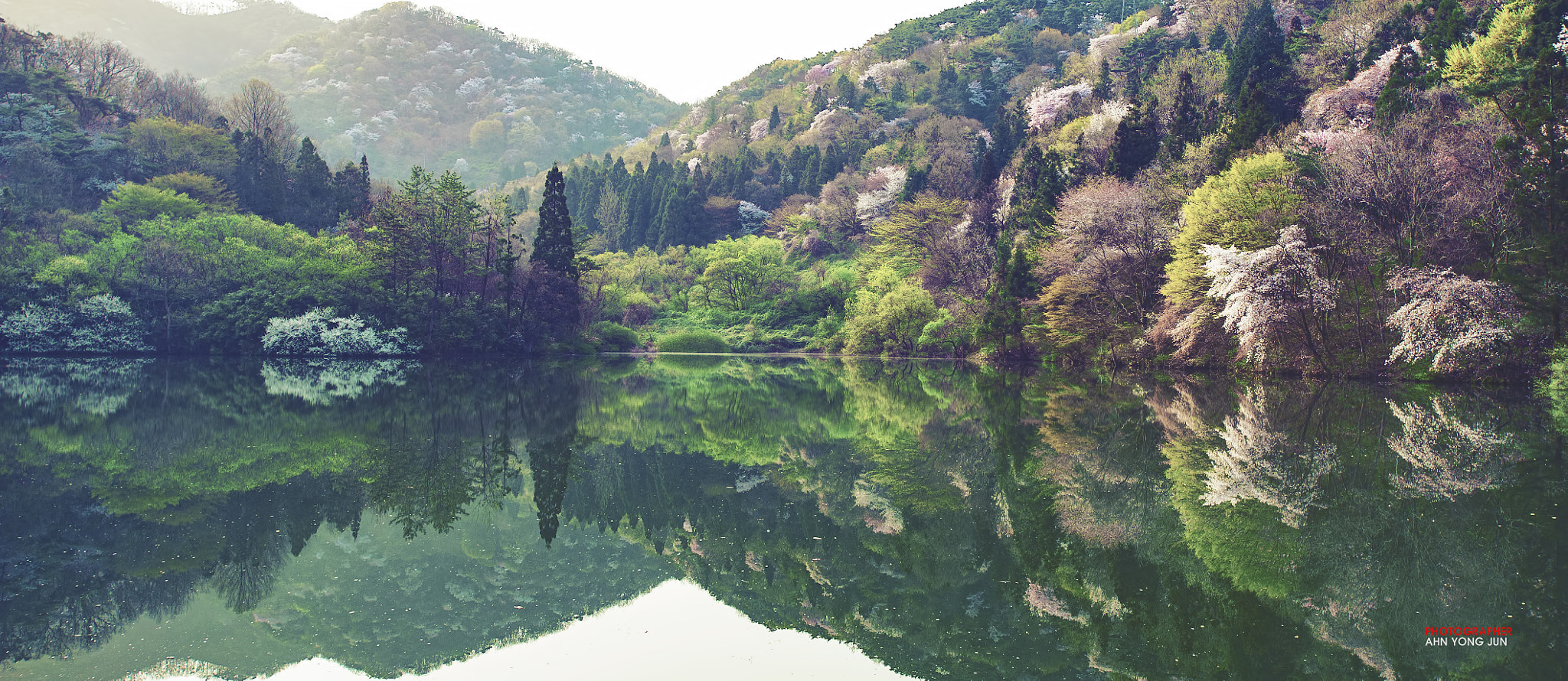 Nikon AF-S Nikkor 17-35mm F2.8D ED-IF sample photo. Reflection of spring photography