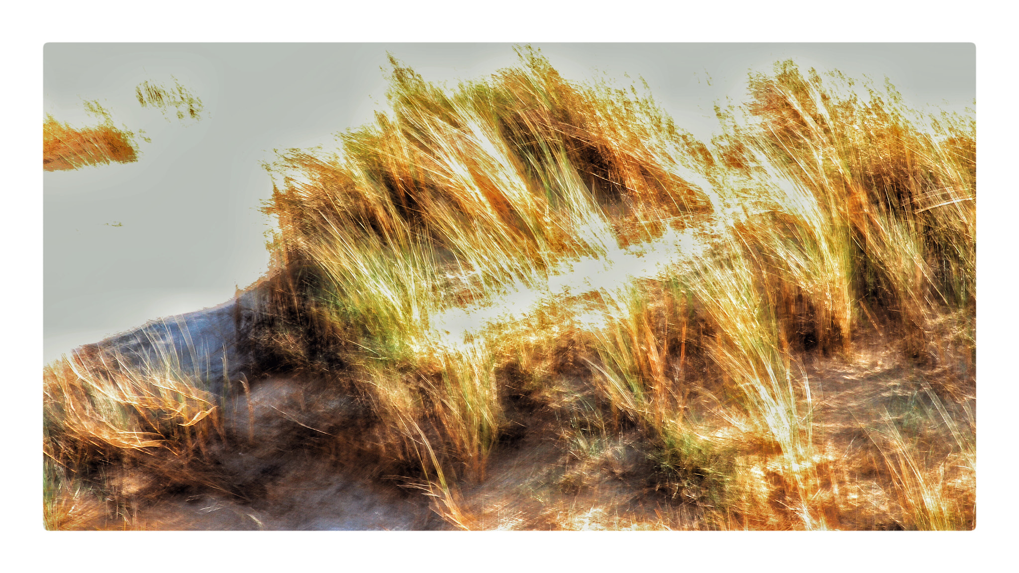 Canon EOS 600D (Rebel EOS T3i / EOS Kiss X5) + Canon 70-300mm sample photo. Coiffe de dune photography
