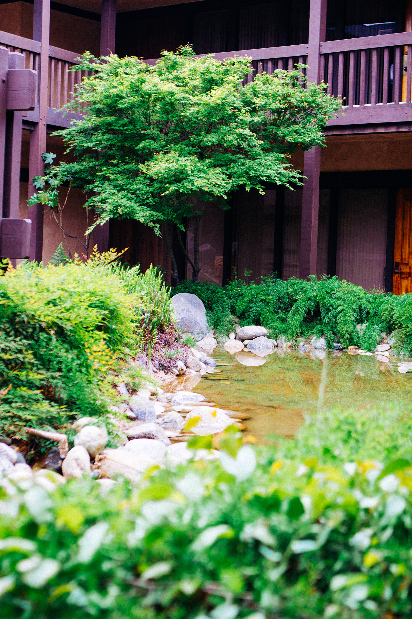 Canon EF 24-70mm F2.8L USM sample photo. Garden middle of an office building photography