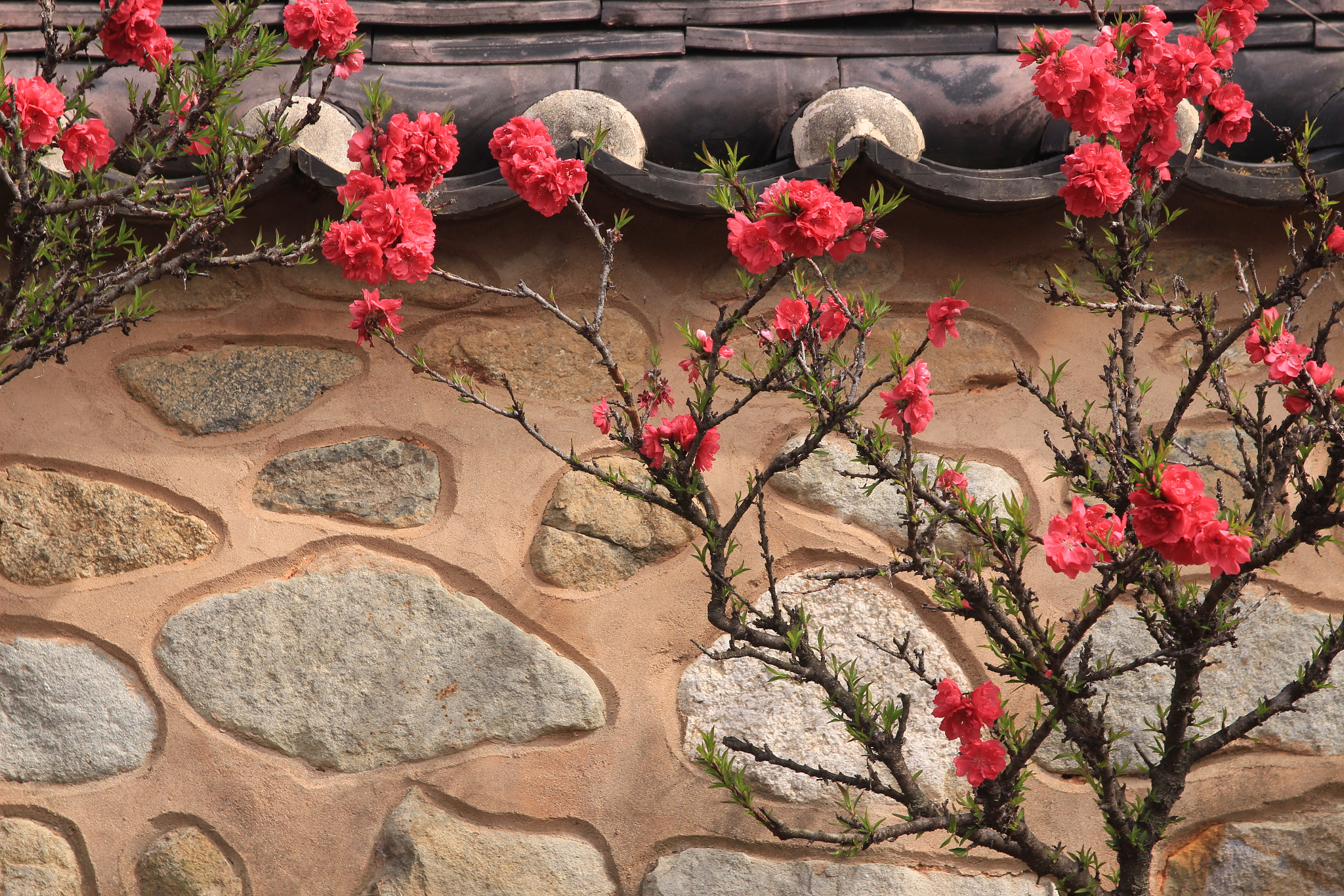 Sigma 17-70mm F2.8-4 DC Macro OS HSM sample photo. Mural photography