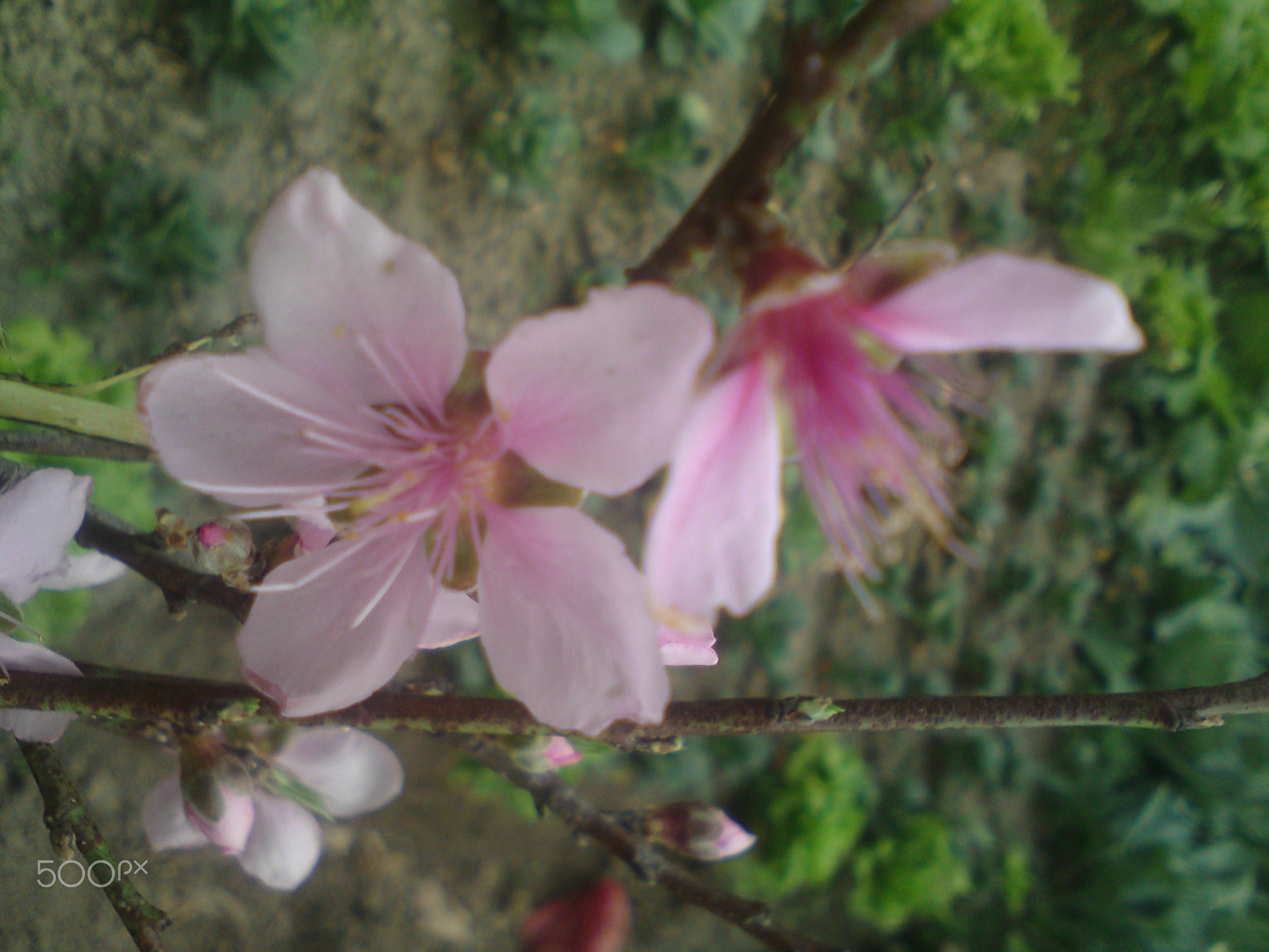 Sony Ericsson W995 sample photo. 我的家乡石灰坝 photography