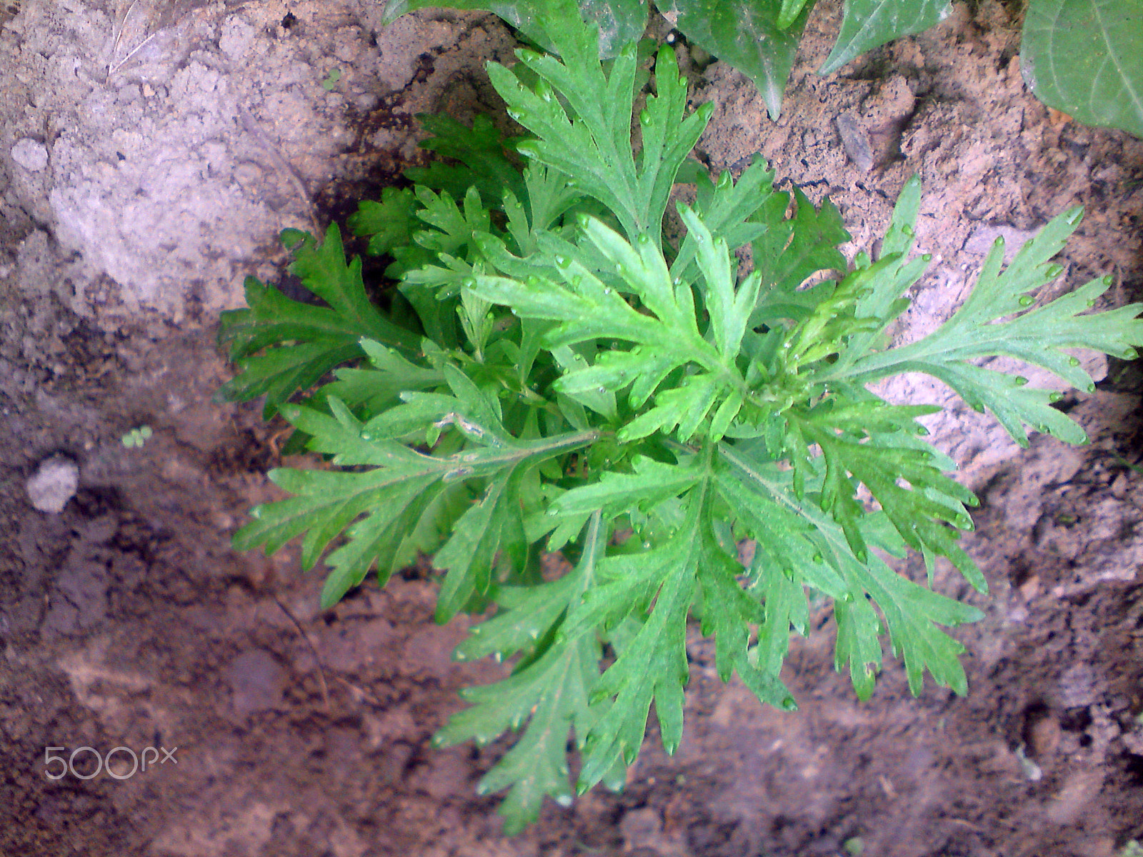 Sony Ericsson W995 sample photo. 我的家乡石灰坝 photography