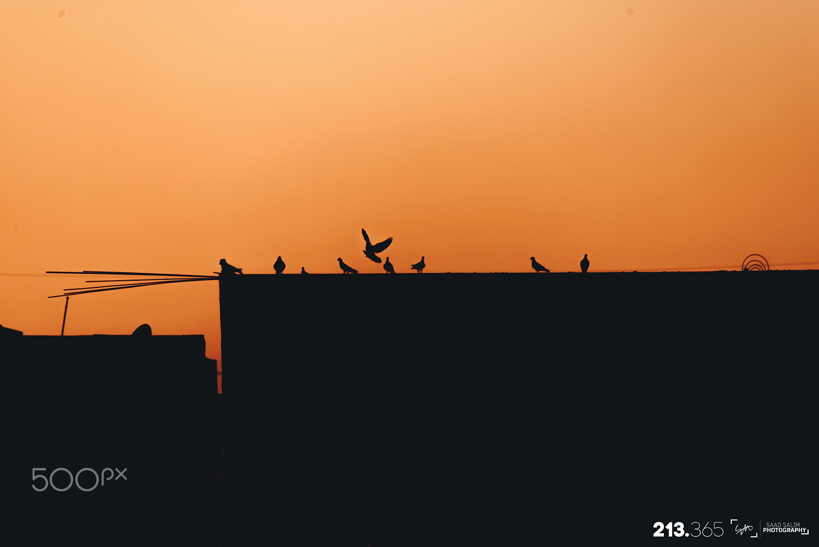 Sigma 70-300mm F4-5.6 APO DG Macro sample photo. Rooftop photography