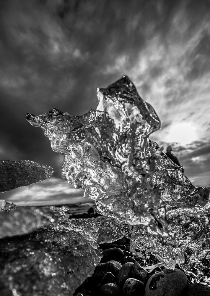 Leica Tri-Elmar-M 16-18-21mm F4 ASPH sample photo. Natural ice on the beach 7 photography