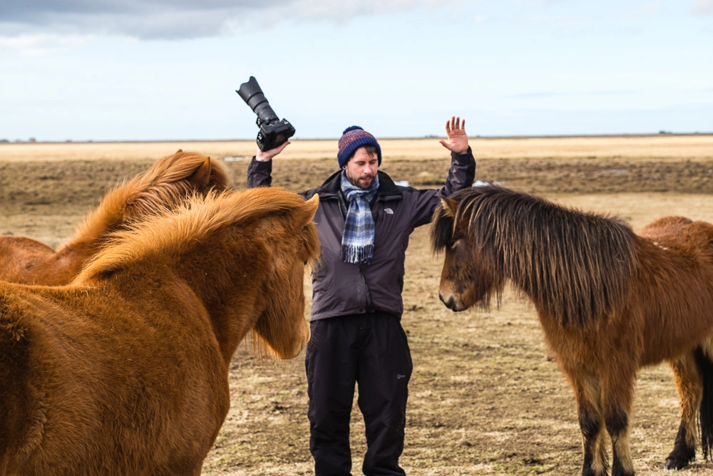 Leica APO-Summicron-M 75mm F2 ASPH sample photo. Mugging - icelandic style photography