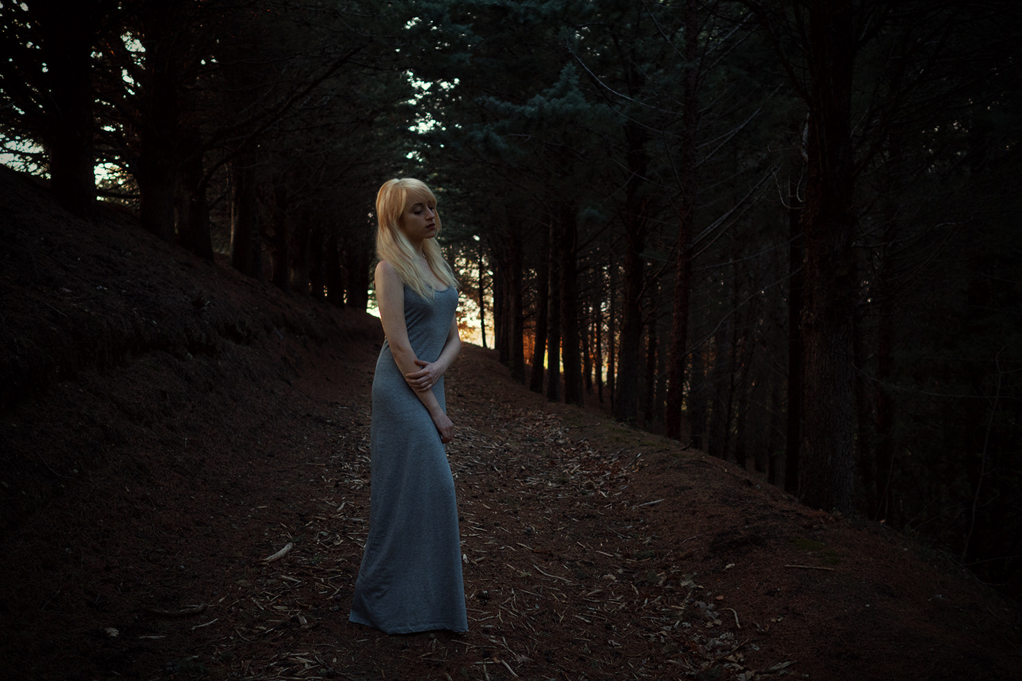 Olympus OM-D E-M5 II + Olympus M.Zuiko Digital 17mm F1.8 sample photo. Another fairytale photography