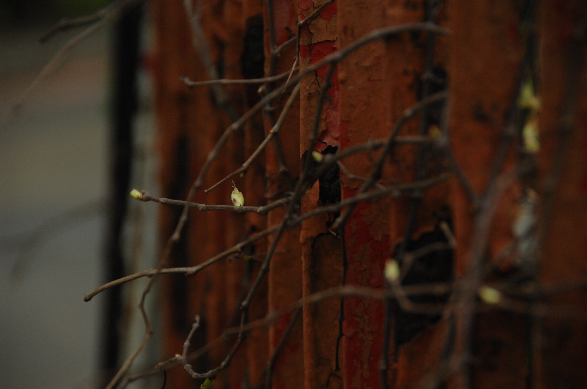 Nikon D2X sample photo. .. photography