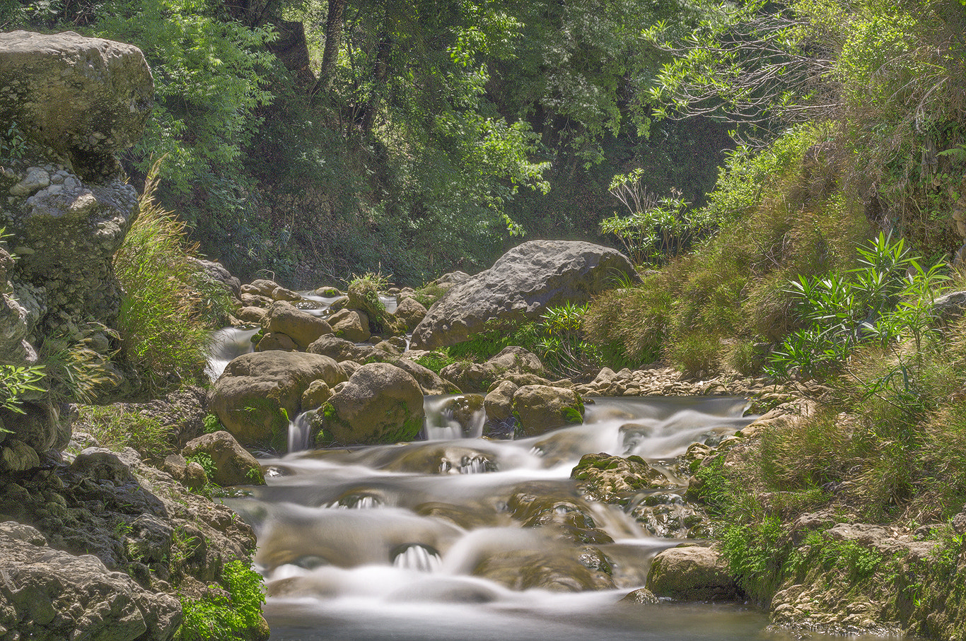 Canon EOS 650D (EOS Rebel T4i / EOS Kiss X6i) sample photo. Nillan botu photography