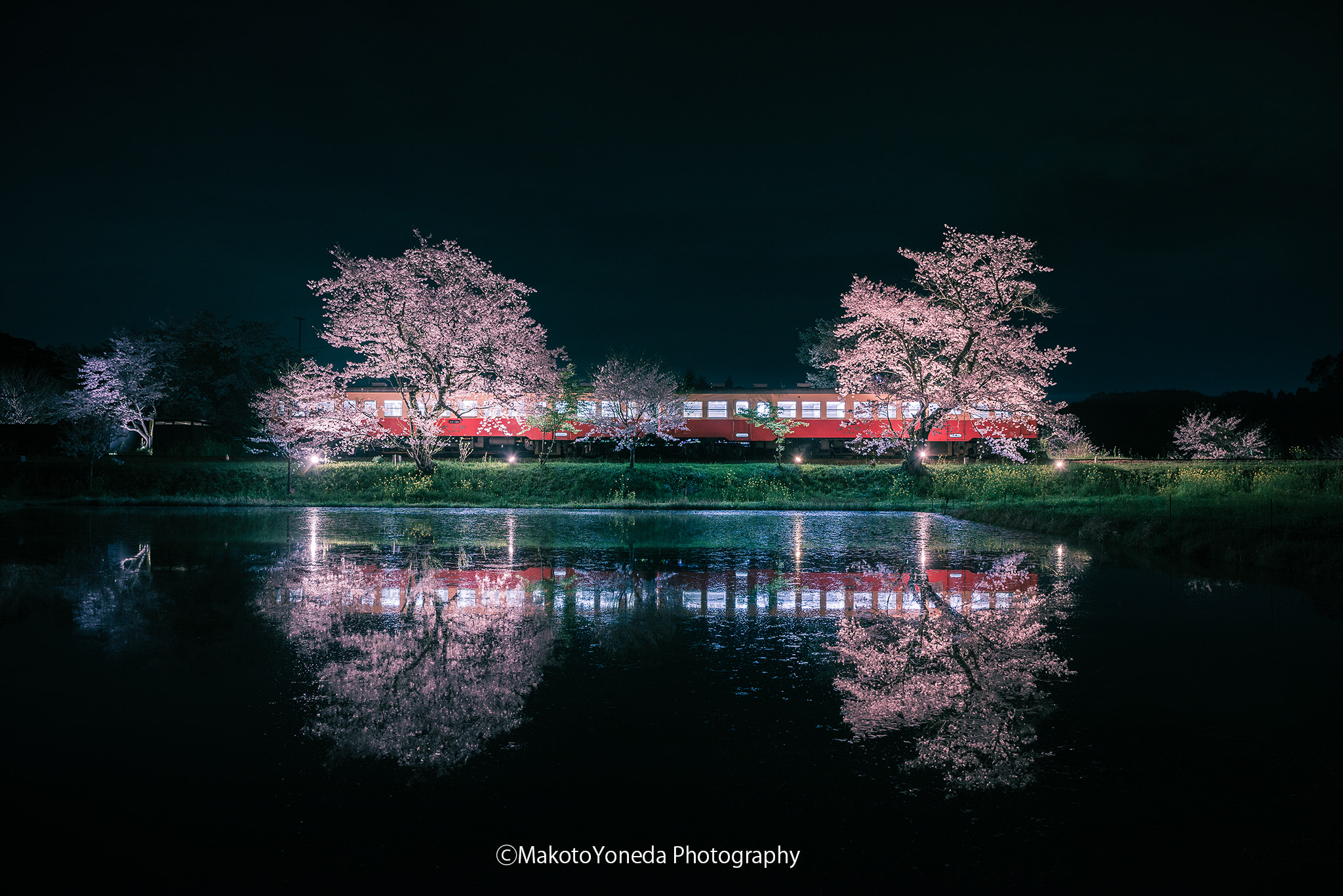 Nikon AF-S Nikkor 24-70mm F2.8E ED VR sample photo. Dream night photography