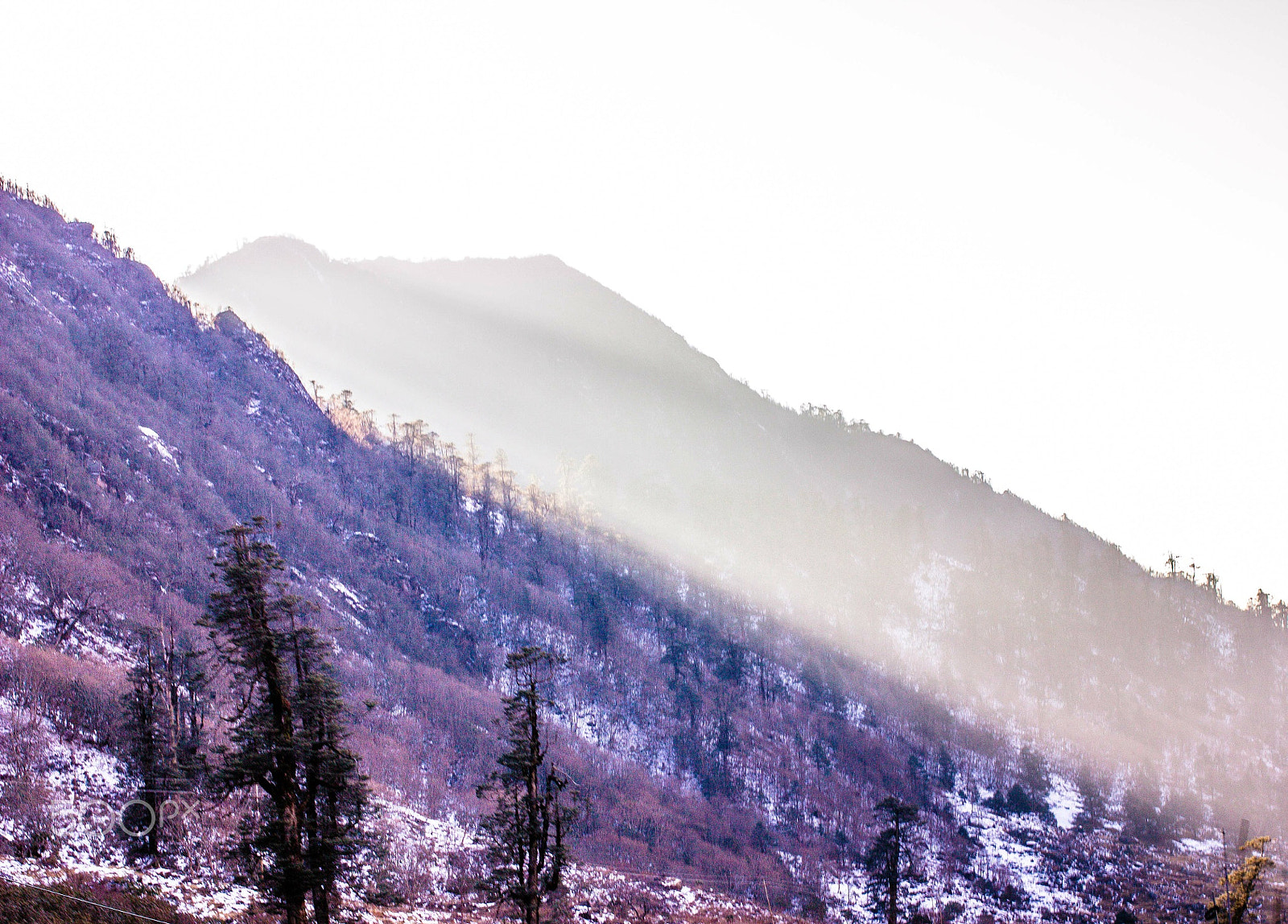 Canon EOS 550D (EOS Rebel T2i / EOS Kiss X4) + Canon EF 40mm F2.8 STM sample photo. Pahaad - sikkim "the himalayan paradise" photography